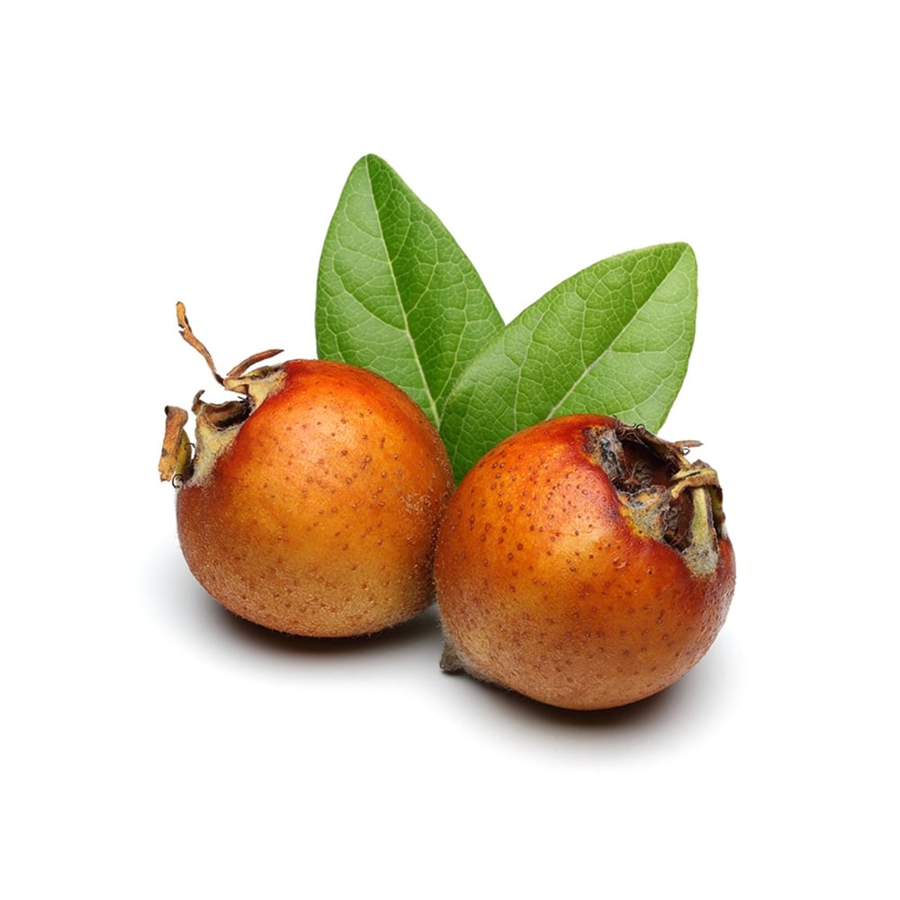 Muşmula Döngel kg