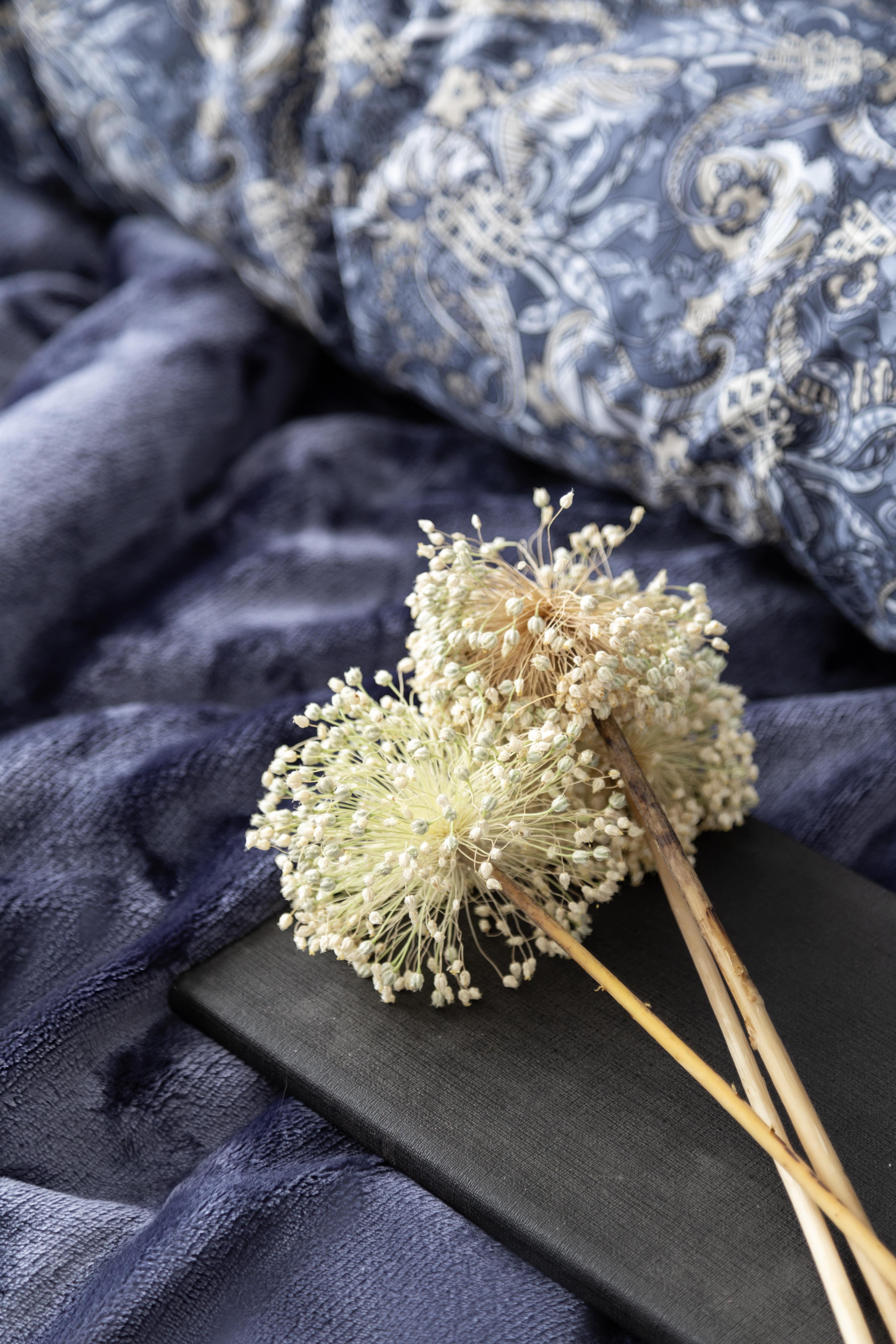 Apricitas Çift Kişilik My Touch Nevresim  Takımı Antıca Indıgo