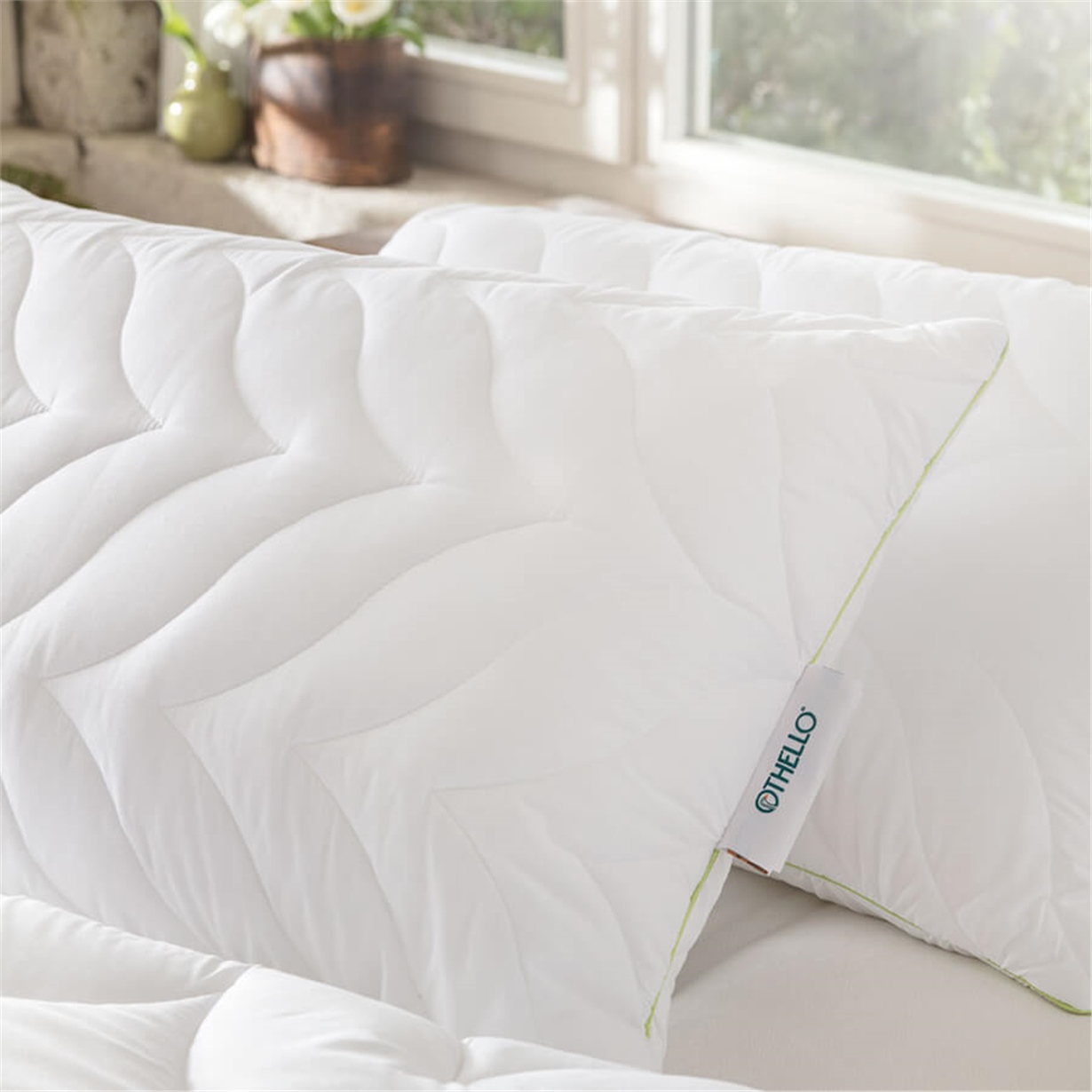 Othello Elegante 50x70 cm Lovera Aloe Veralı Yastık
