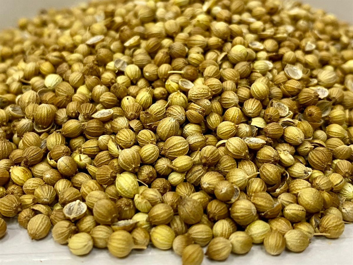 Kişniş (Tane) 250gr