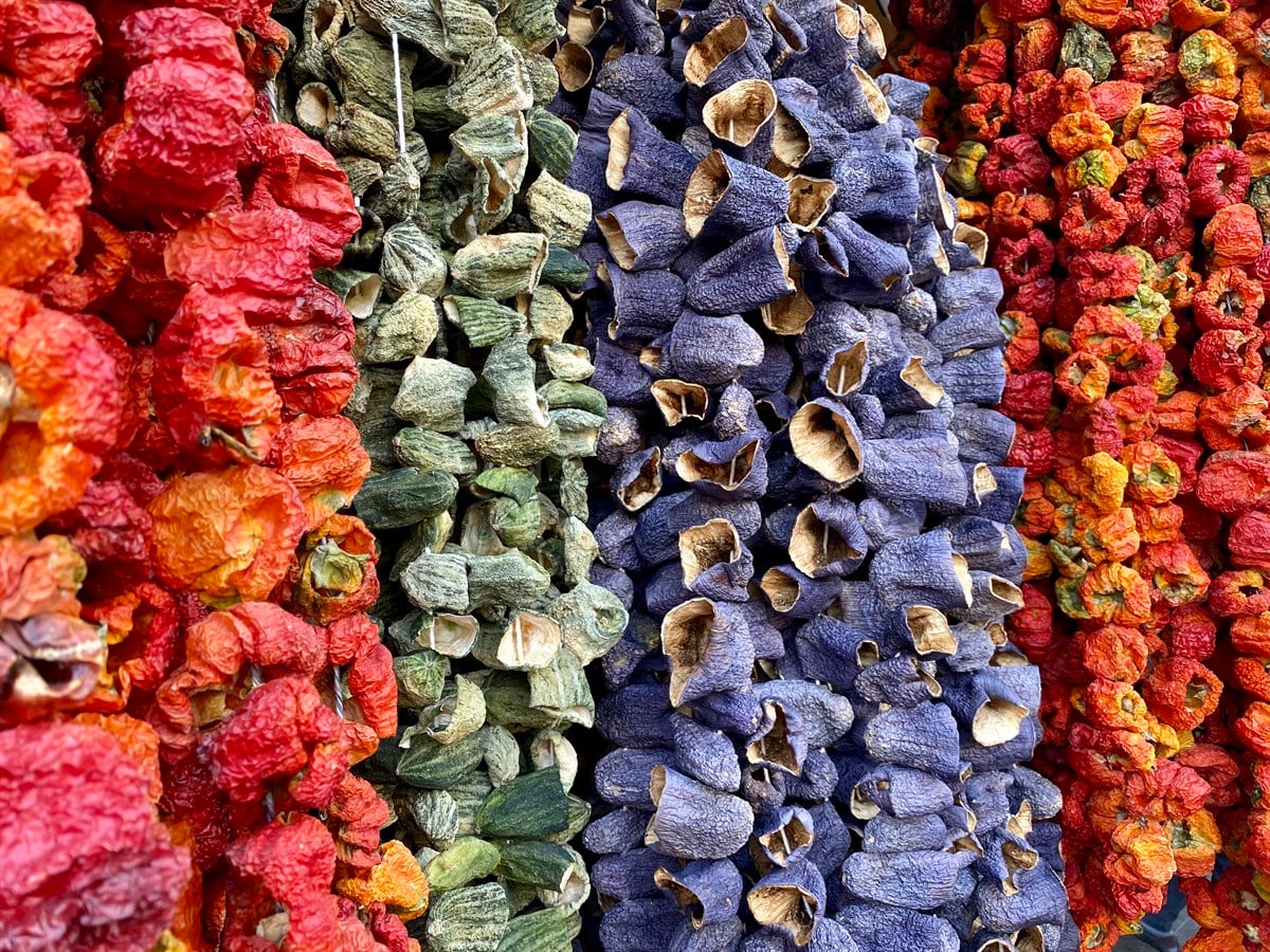 Tatlı Biber dolmalık (50 adet)