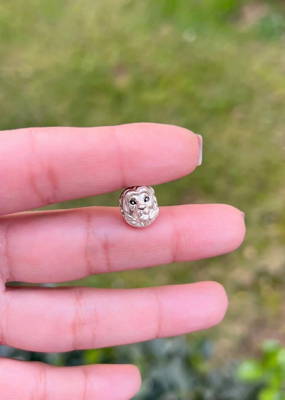 Aslan Charm