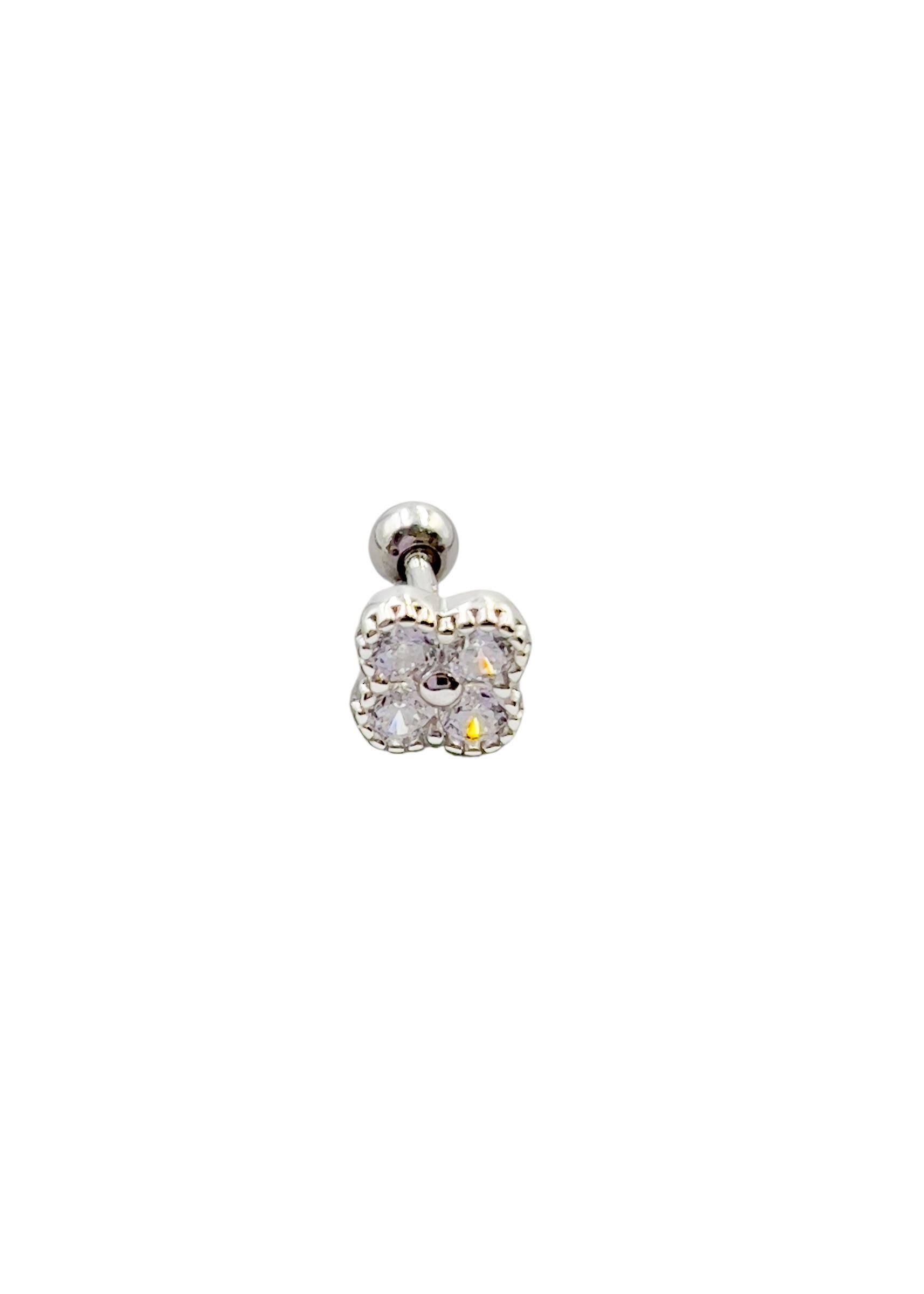 Gümüş Piercing