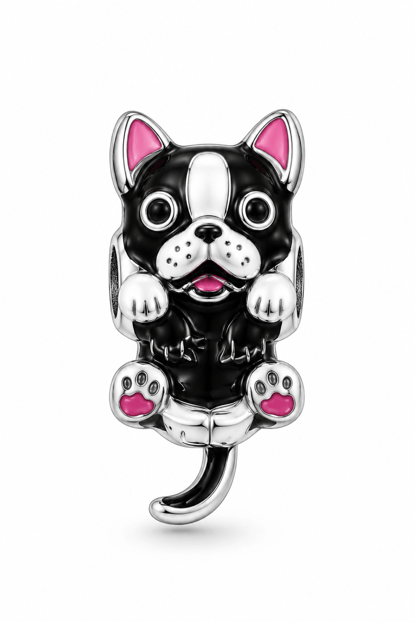 Köpek Charm