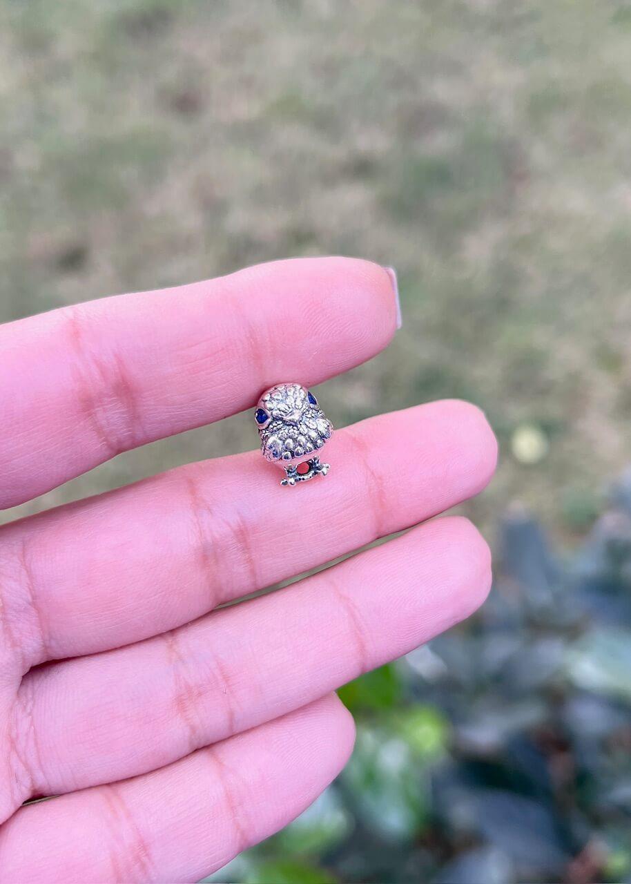 Kuş Charm 
