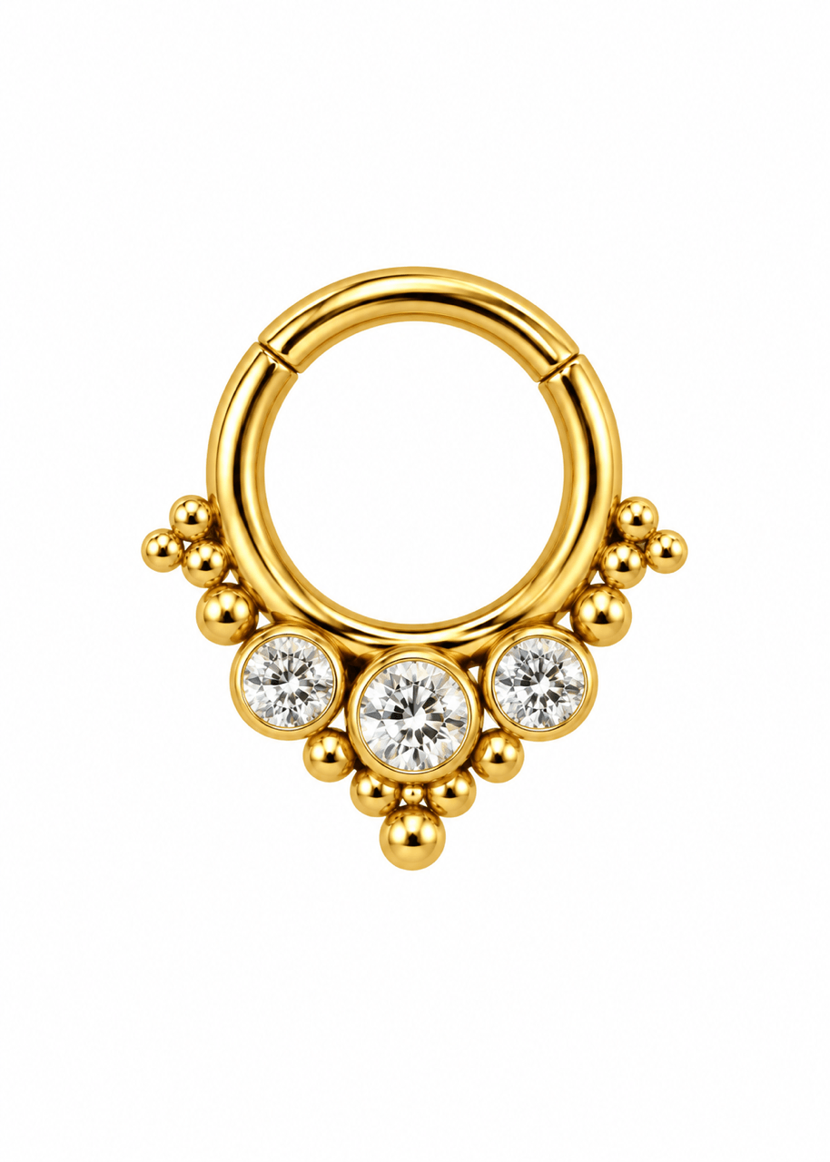 Premium Cerrahi Çelik Halka Piercing