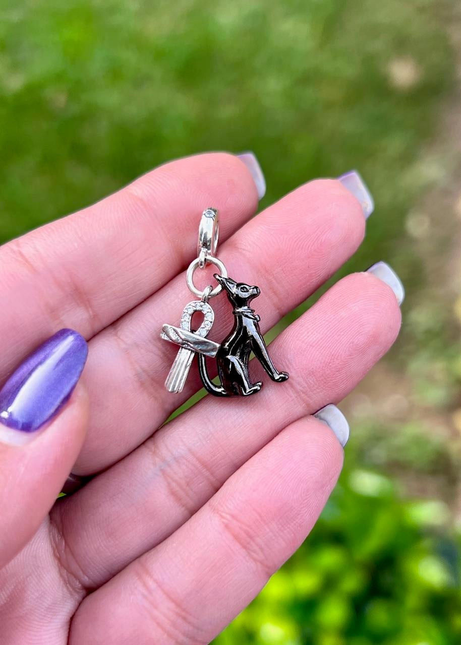 Sevimli Kedi Charm