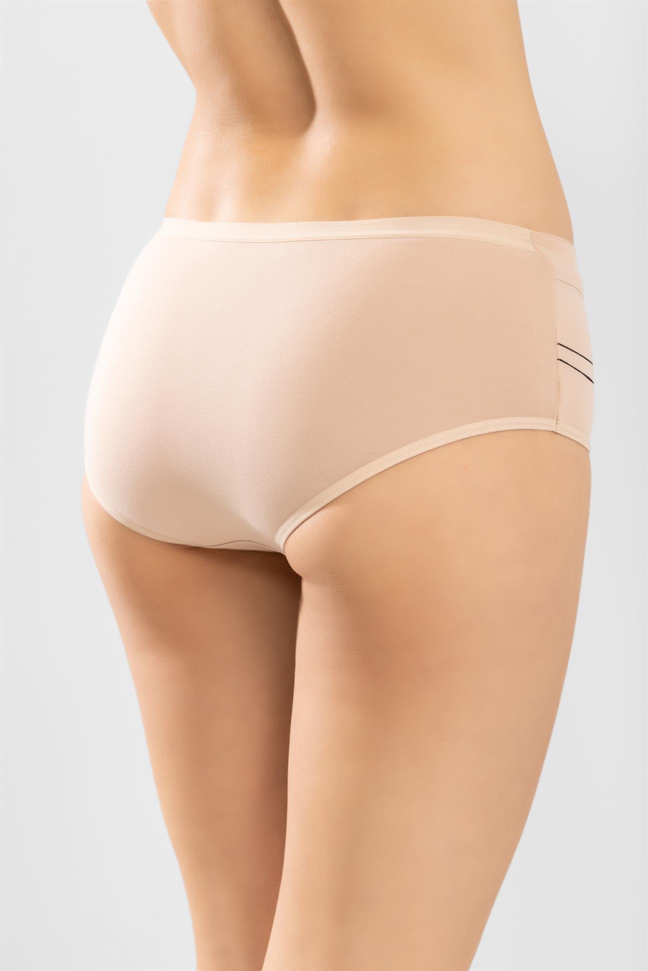 Kadın Basic Kalın Lastikli Pamuklu Bato Kadın Külot 3'lü Paket 8145 RENKLİ