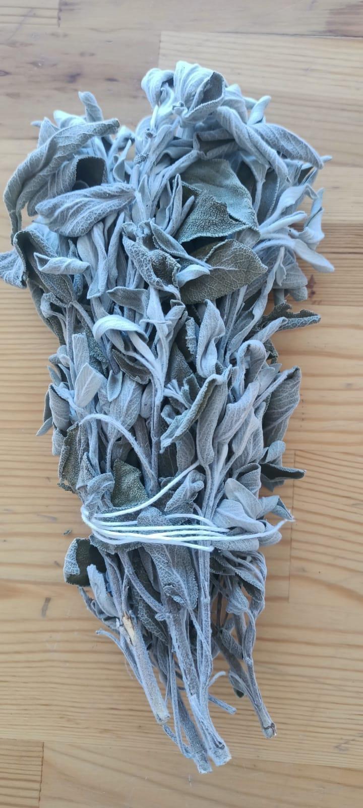 ADAÇAYI YAPRAK 45 GR
