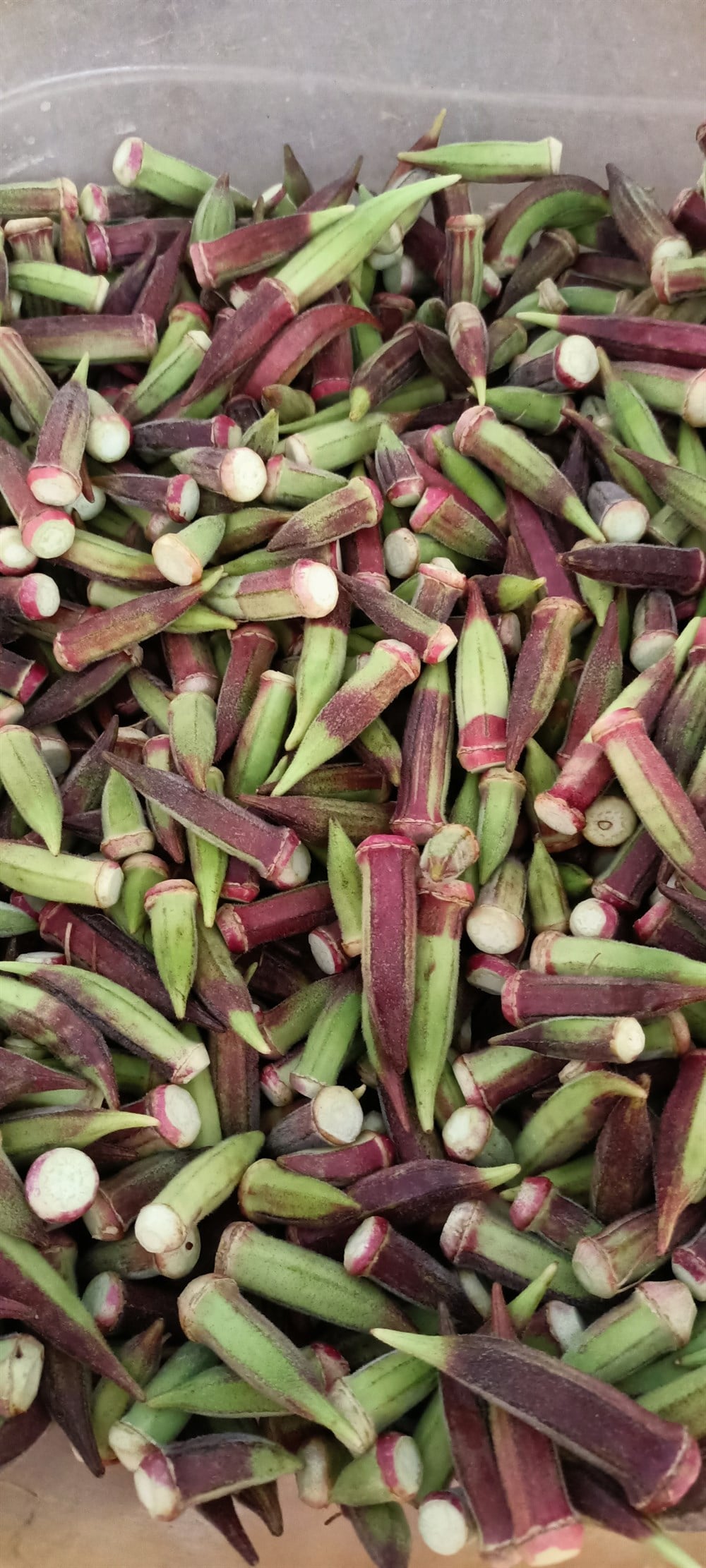 BORNOVA  KINALI BAMYA KONSERVESİ 650 GR