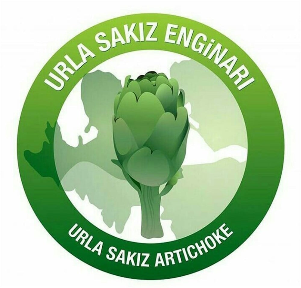Çanak Enginar Konservesi