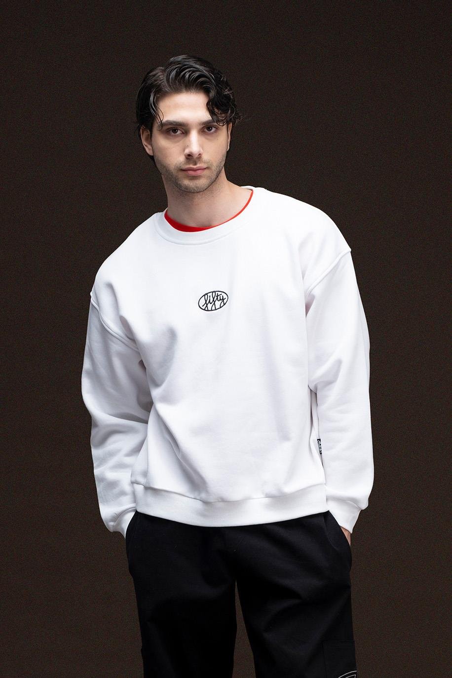 Men's Drop Shoulder Back Printed Sweatshirt