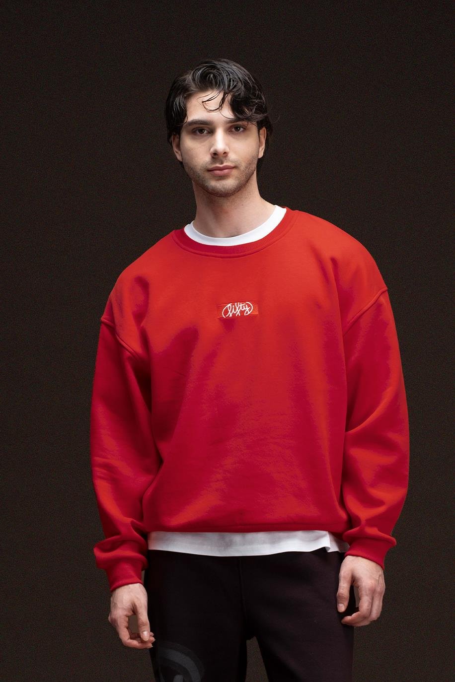 Men's Drop Shoulder Back Printed Sweatshirt