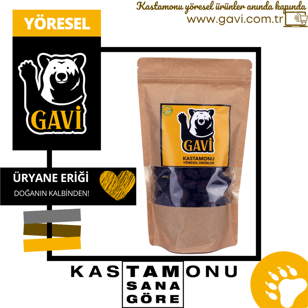 Gavi Üryani Eriği 500 gr