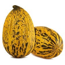 KAVUN KG