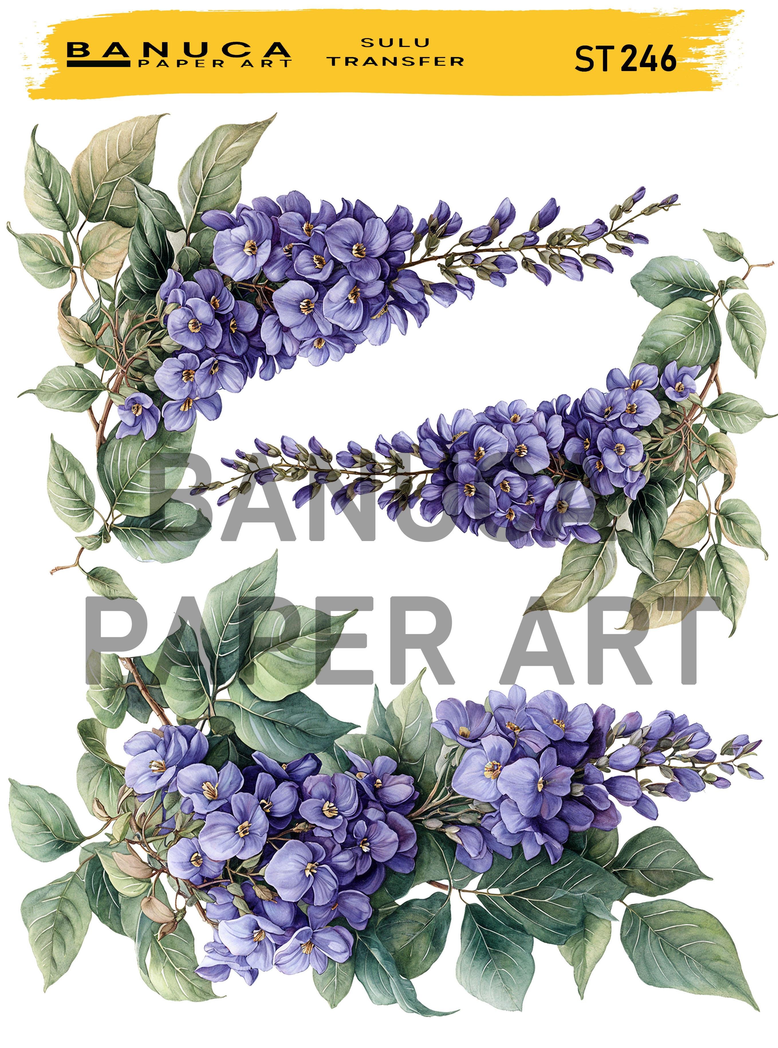 BANUCA PAPER ART SULU TRANSFER