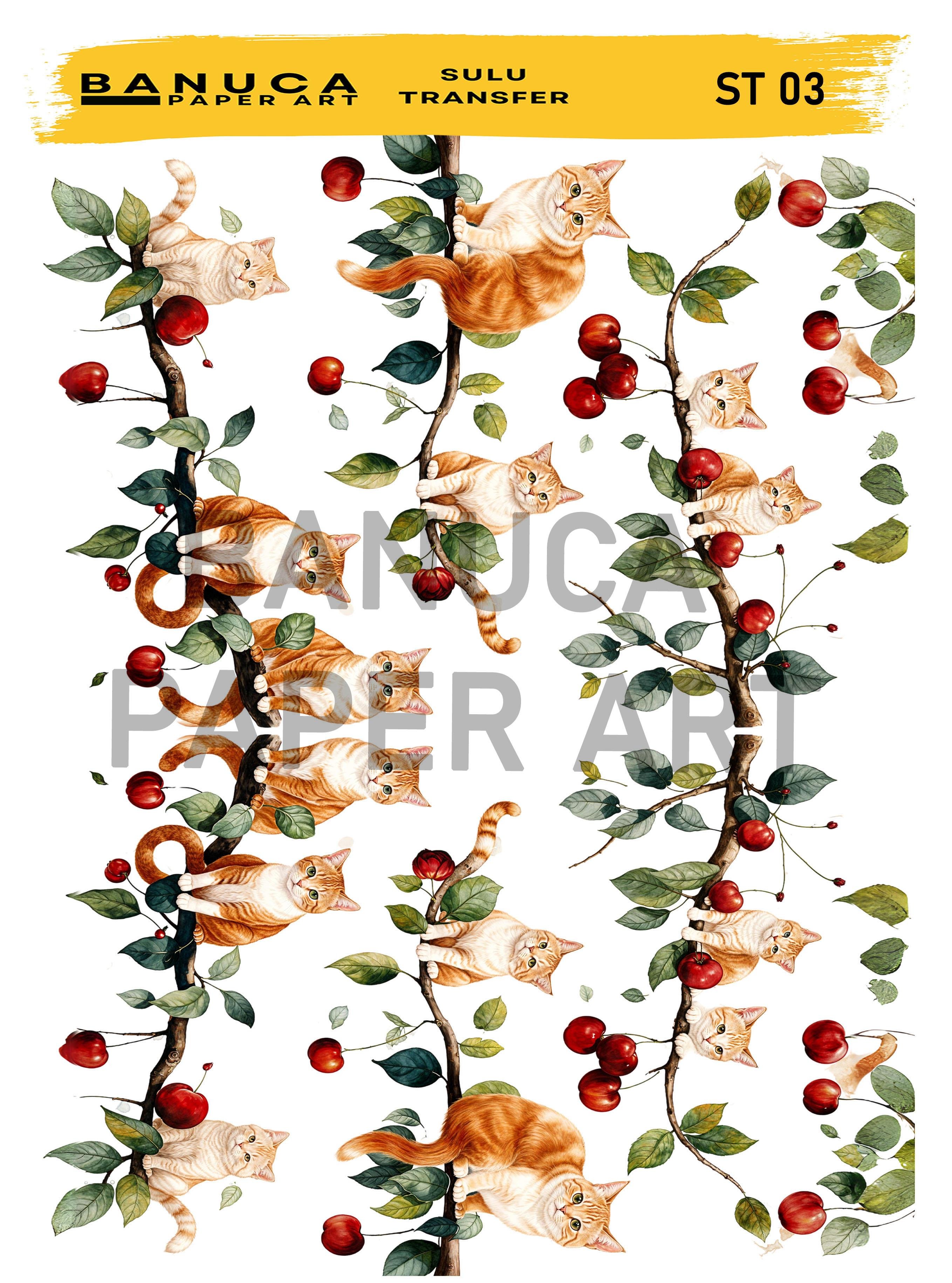 BANUCA PAPER ART SULU TRANSFER