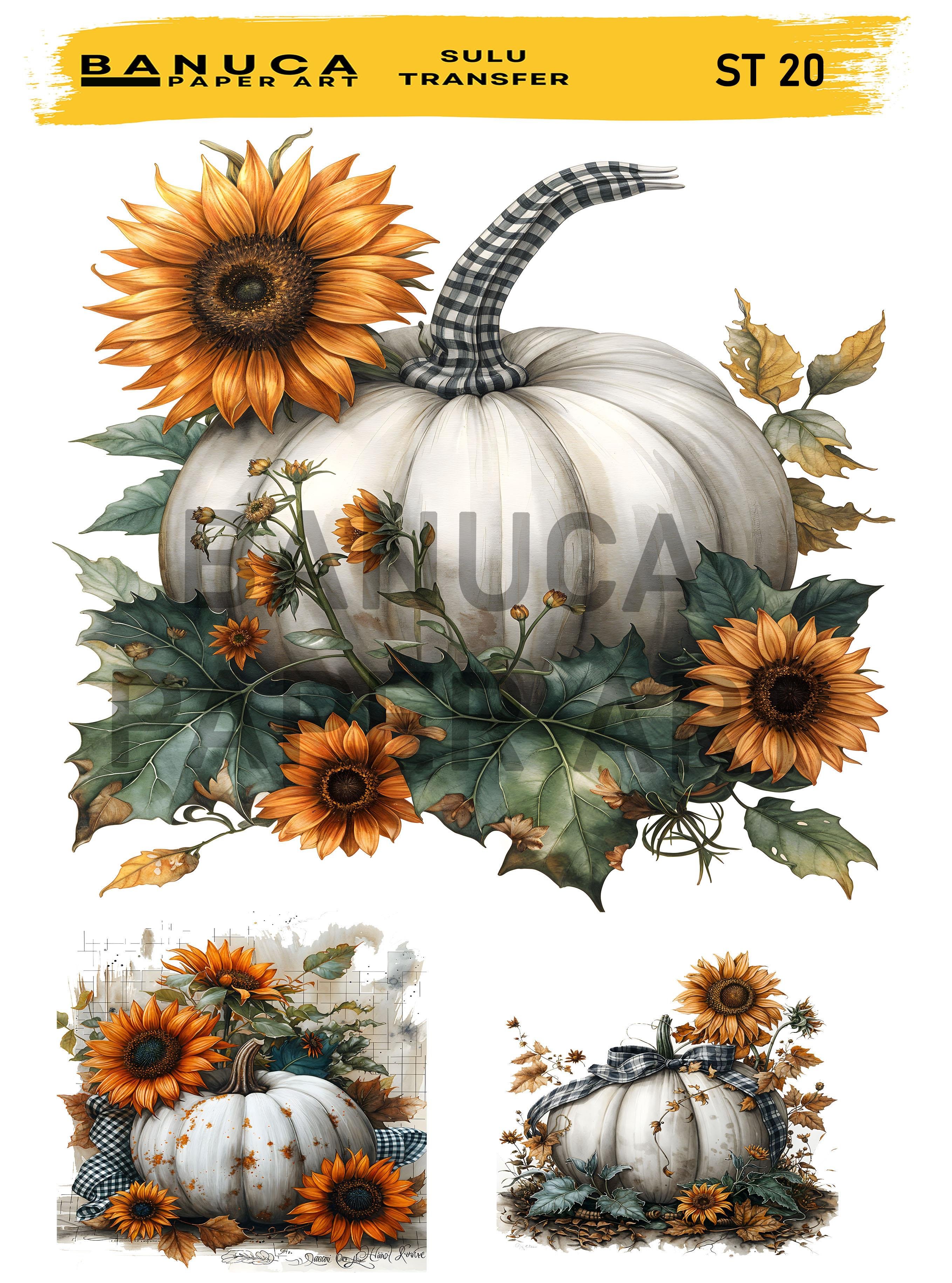 BANUCA PAPER ART SULU TRANSFER