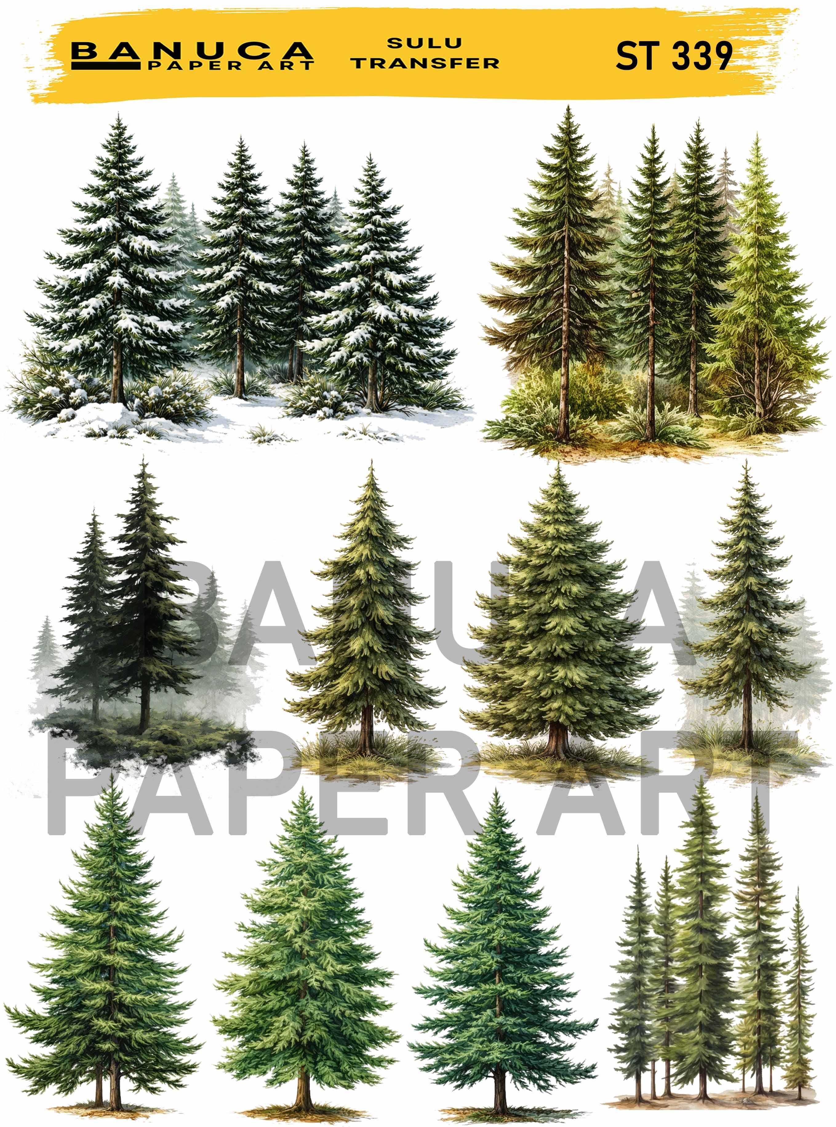 BANUCA PAPER ART SULU TRANSFER