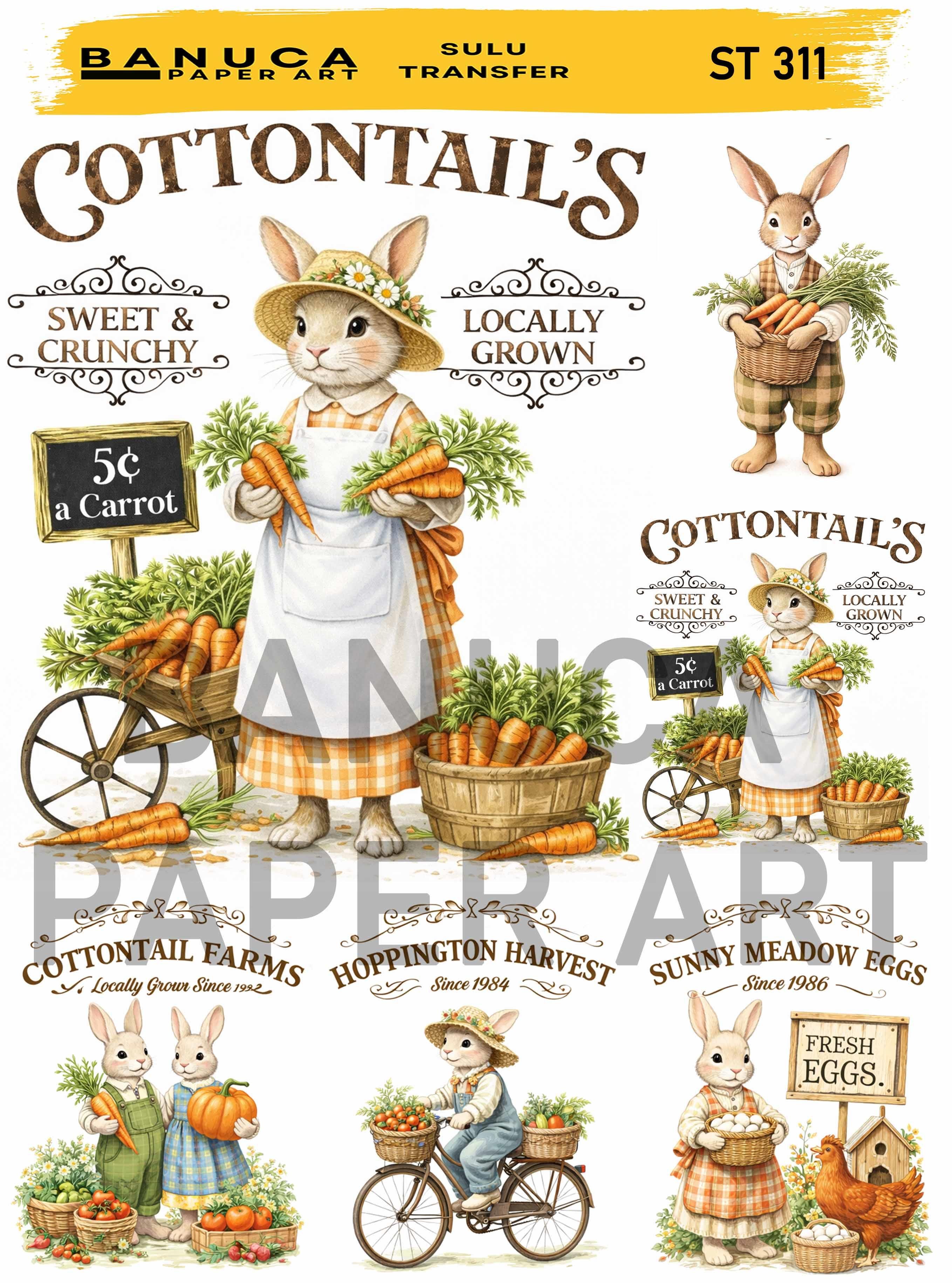 BANUCA PAPER ART SULU TRANSFER