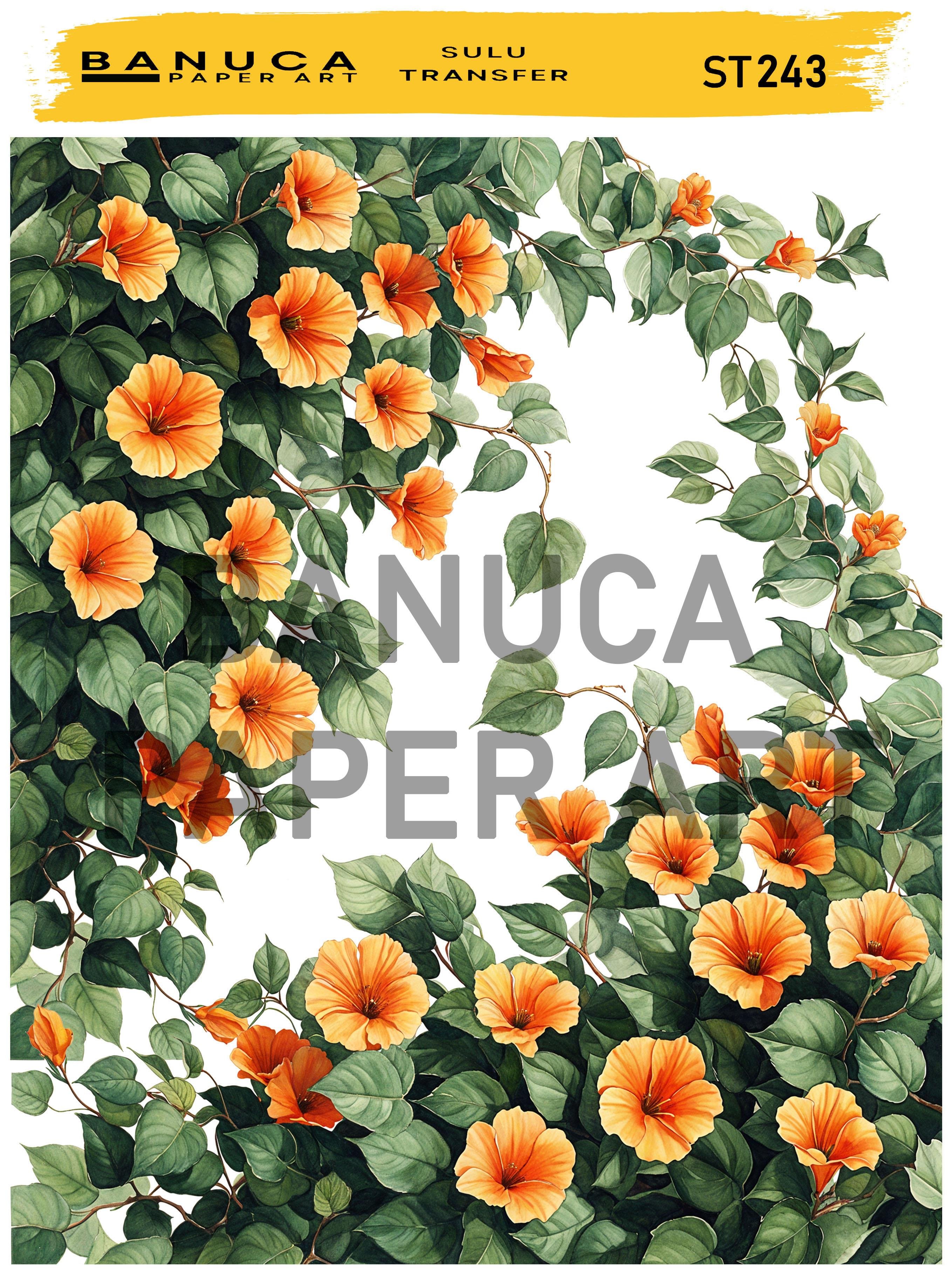 BANUCA PAPER ART SULU TRANSFER