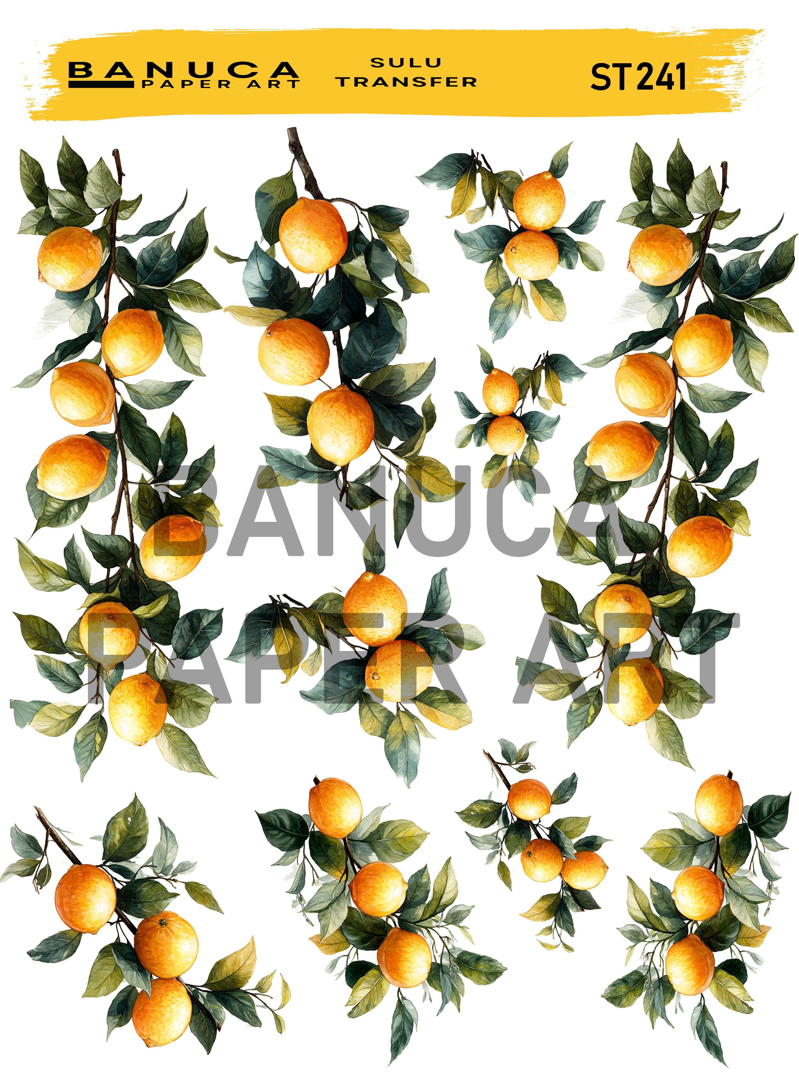 BANUCA PAPER ART SULU TRANSFER