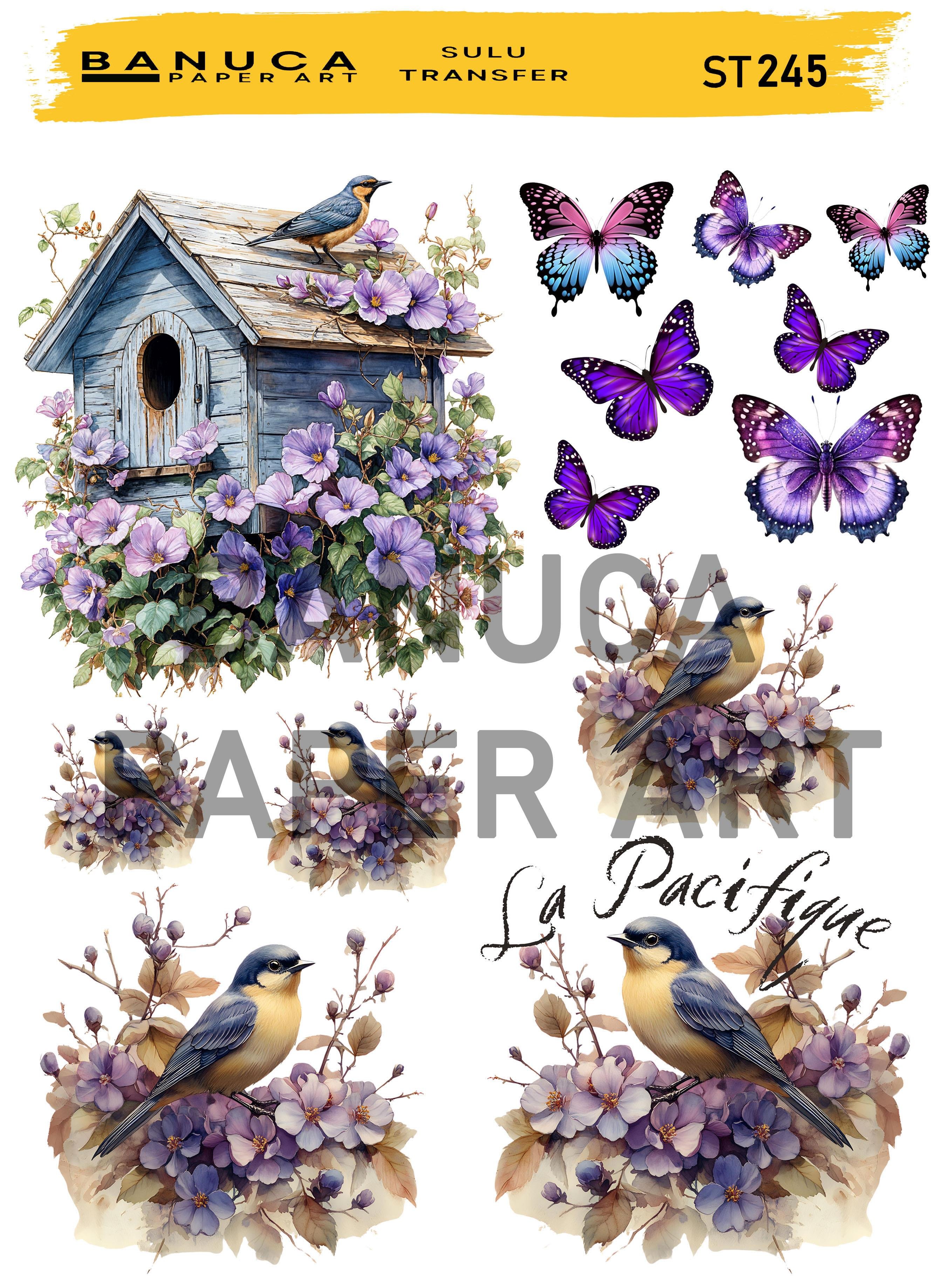 BANUCA PAPER ART SULU TRANSFER