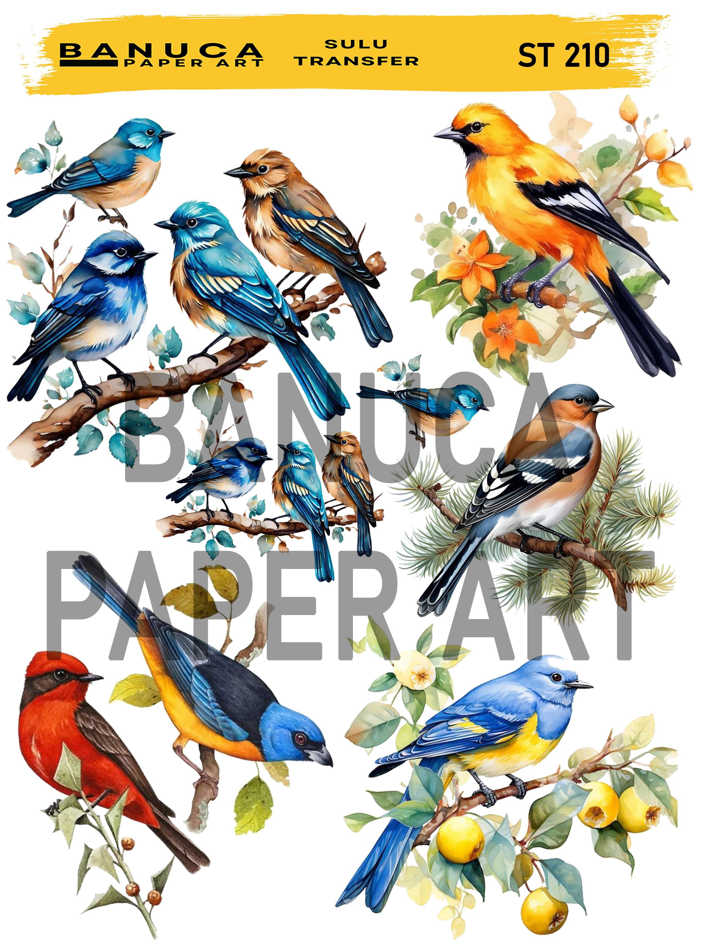 BANUCA PAPER ART SULU TRANSFER