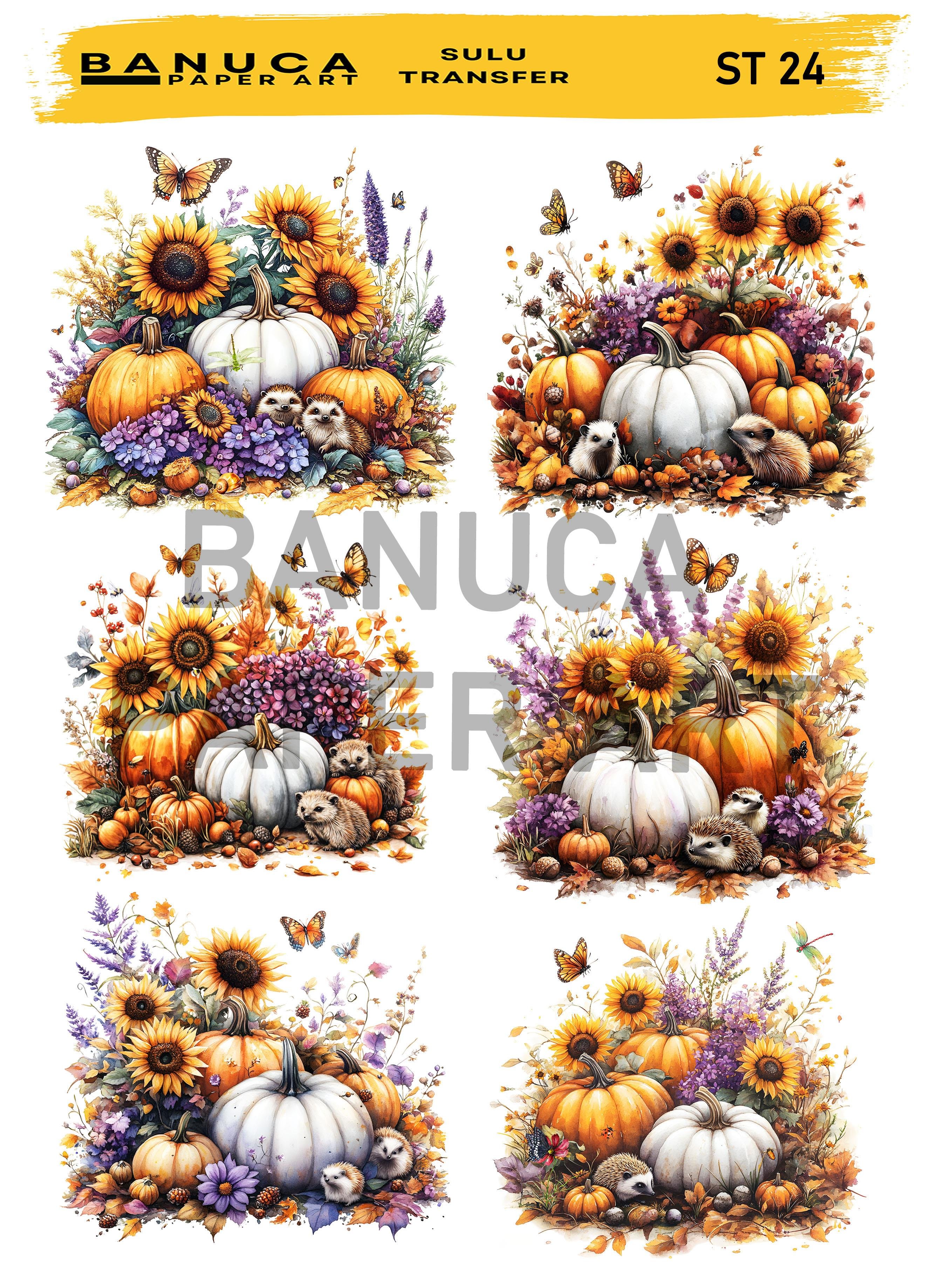 BANUCA PAPER ART SULU TRANSFER