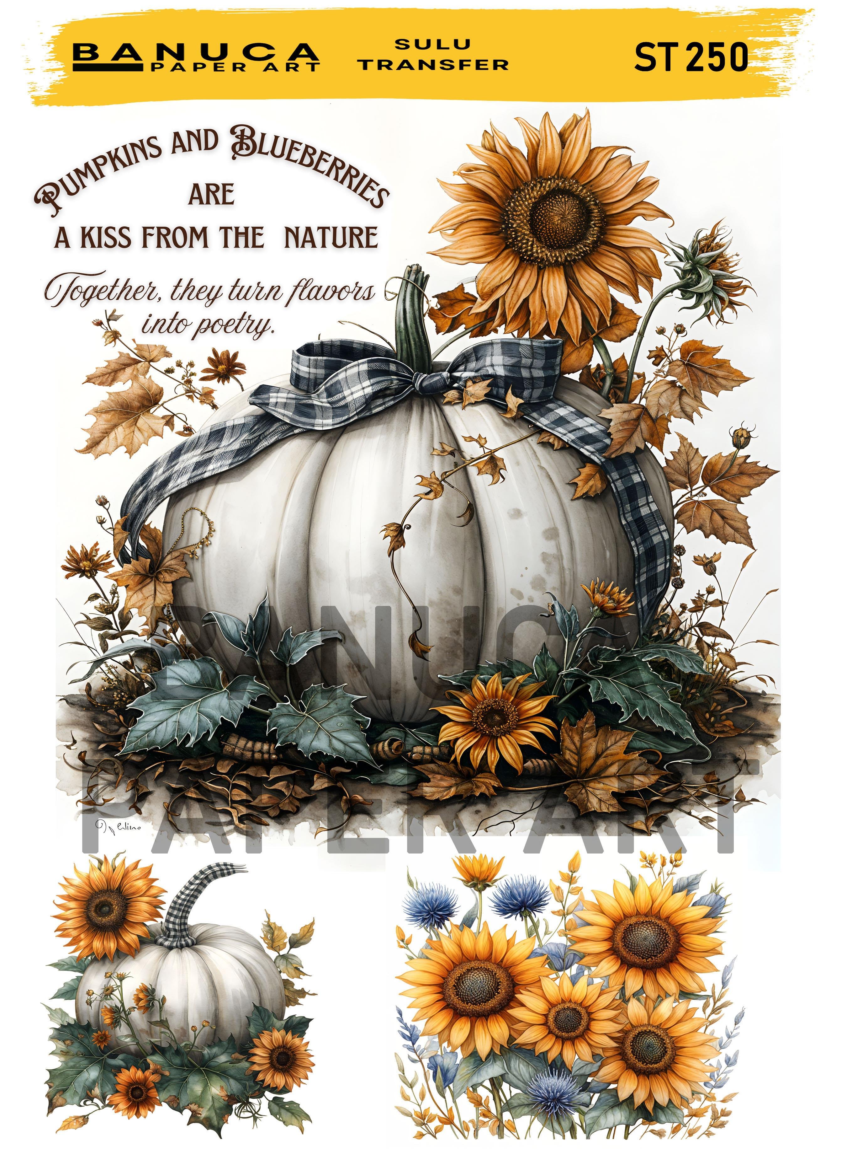 BANUCA PAPER ART SULU TRANSFER