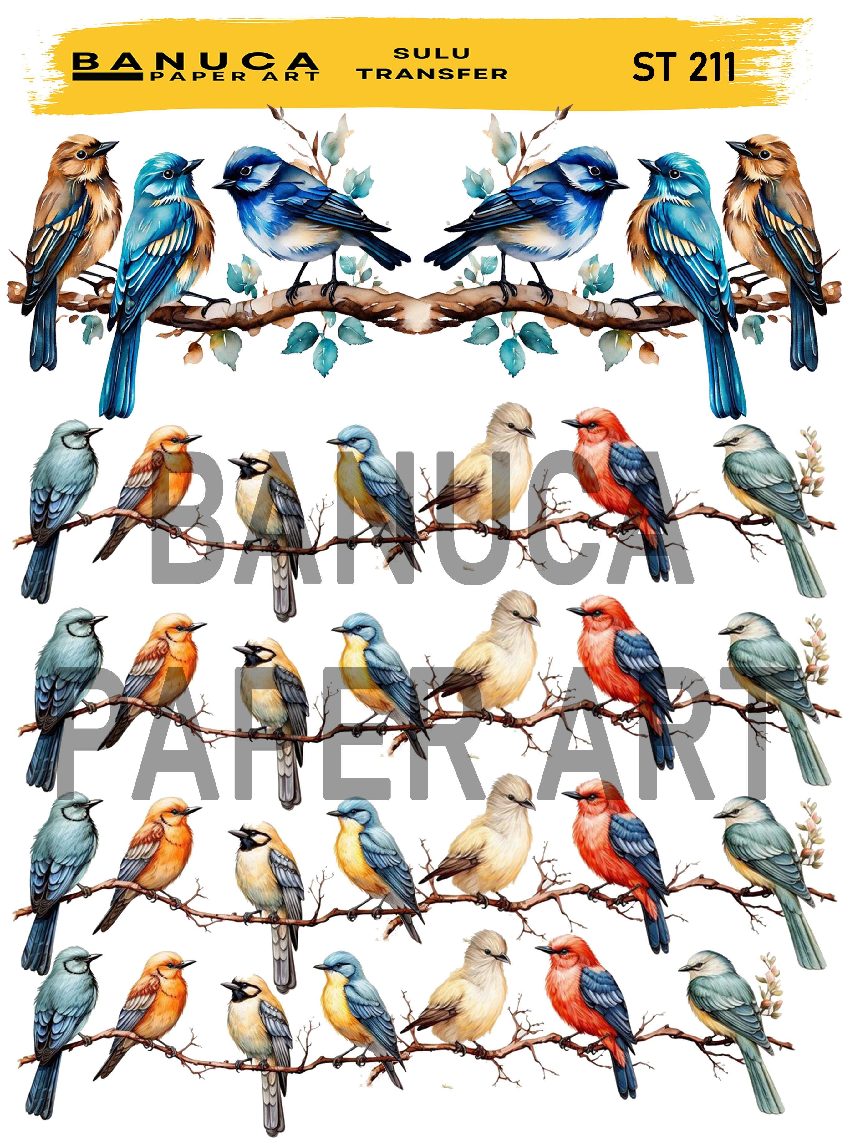 BANUCA PAPER ART SULU TRANSFER