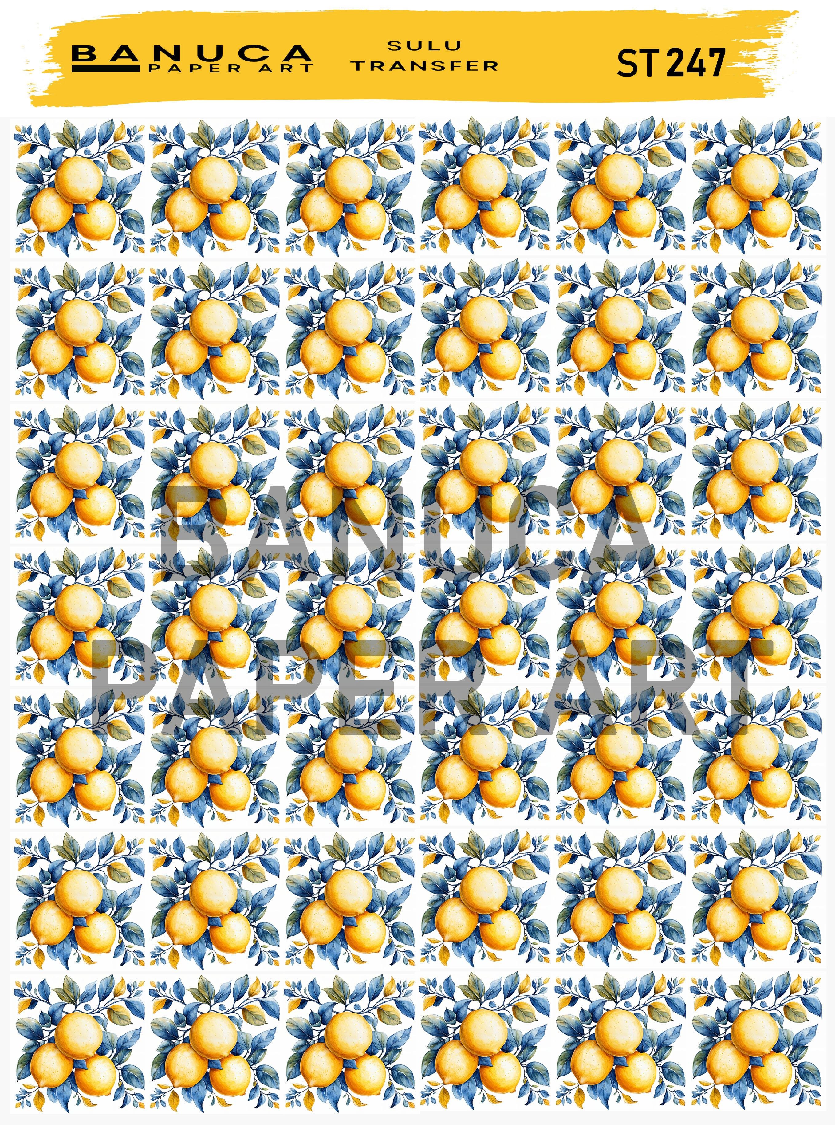 BANUCA PAPER ART SULU TRANSFER