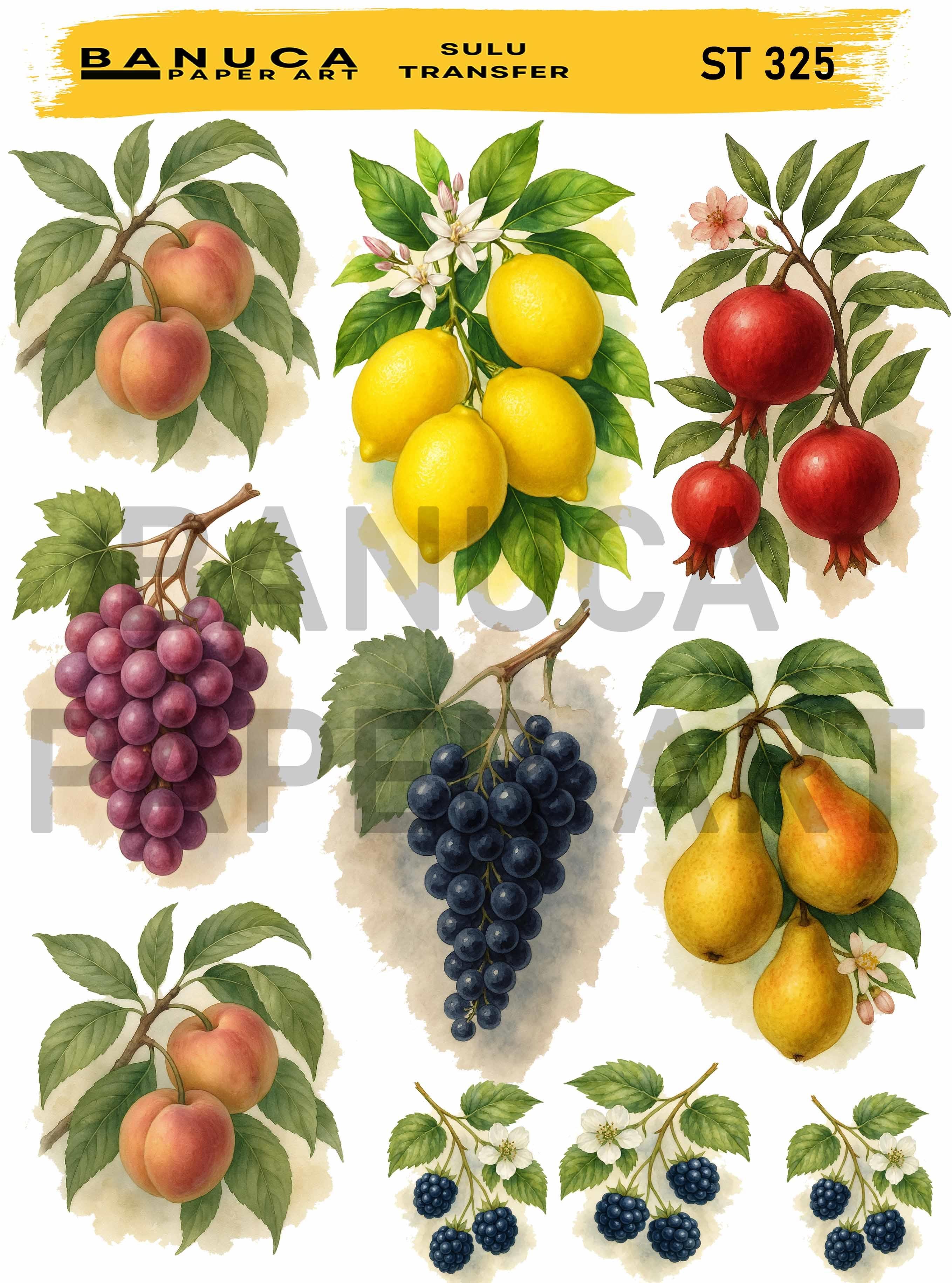 BANUCA PAPER ART SULU TRANSFER