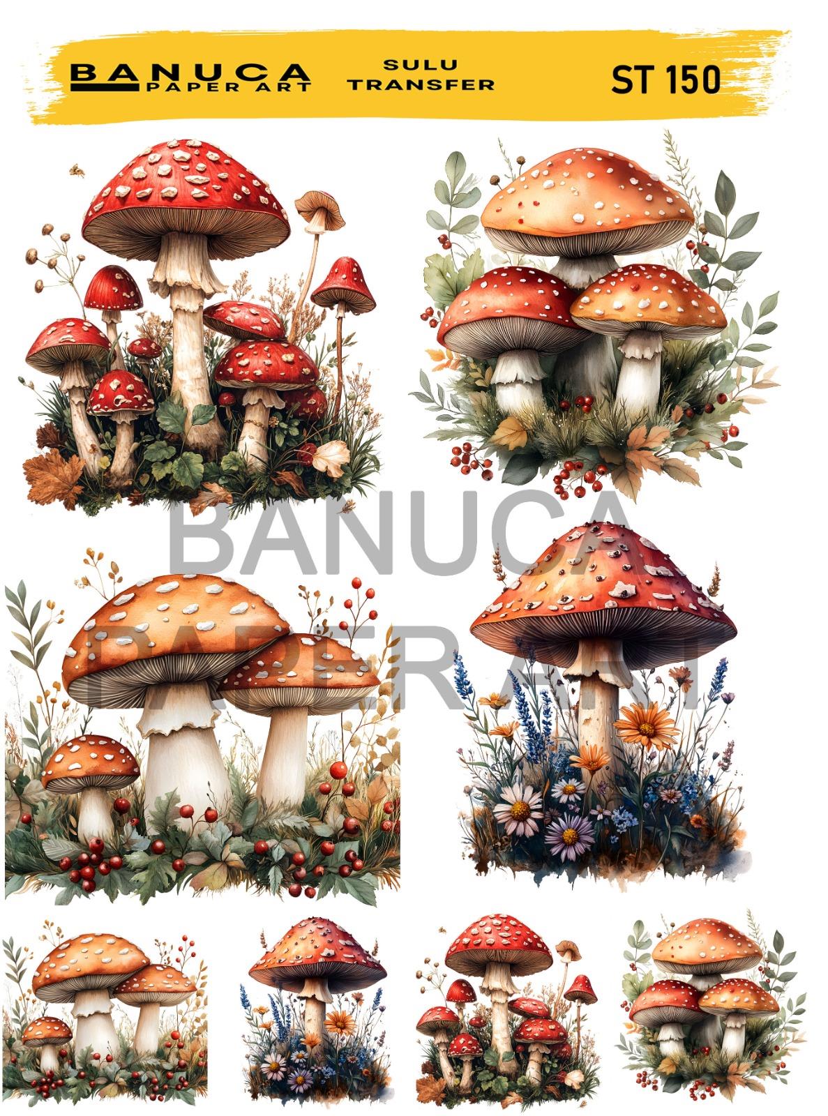 BANUCA PAPER ART SULU TRANSFER