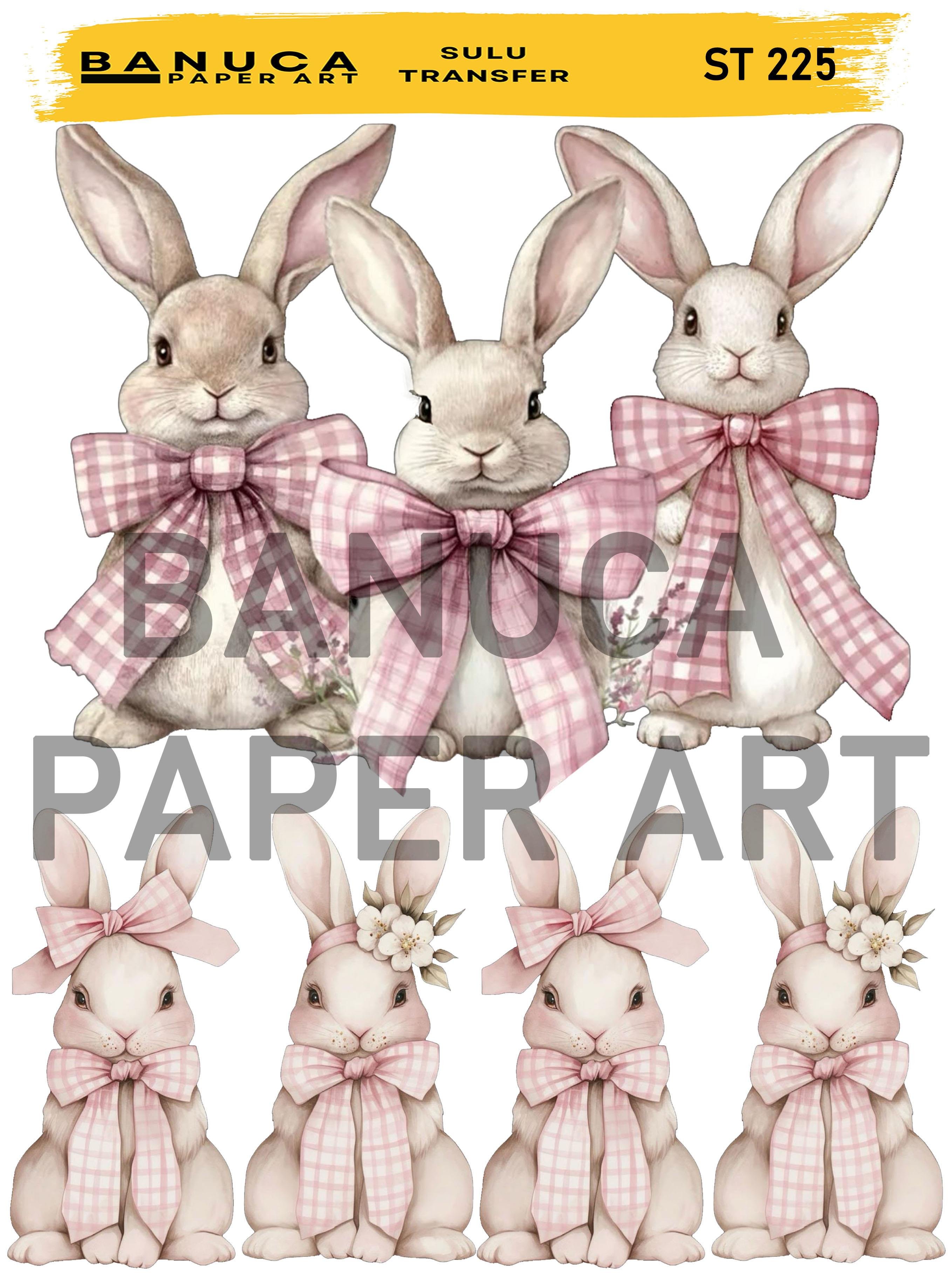 BANUCA PAPER ART SULU TRANSFER