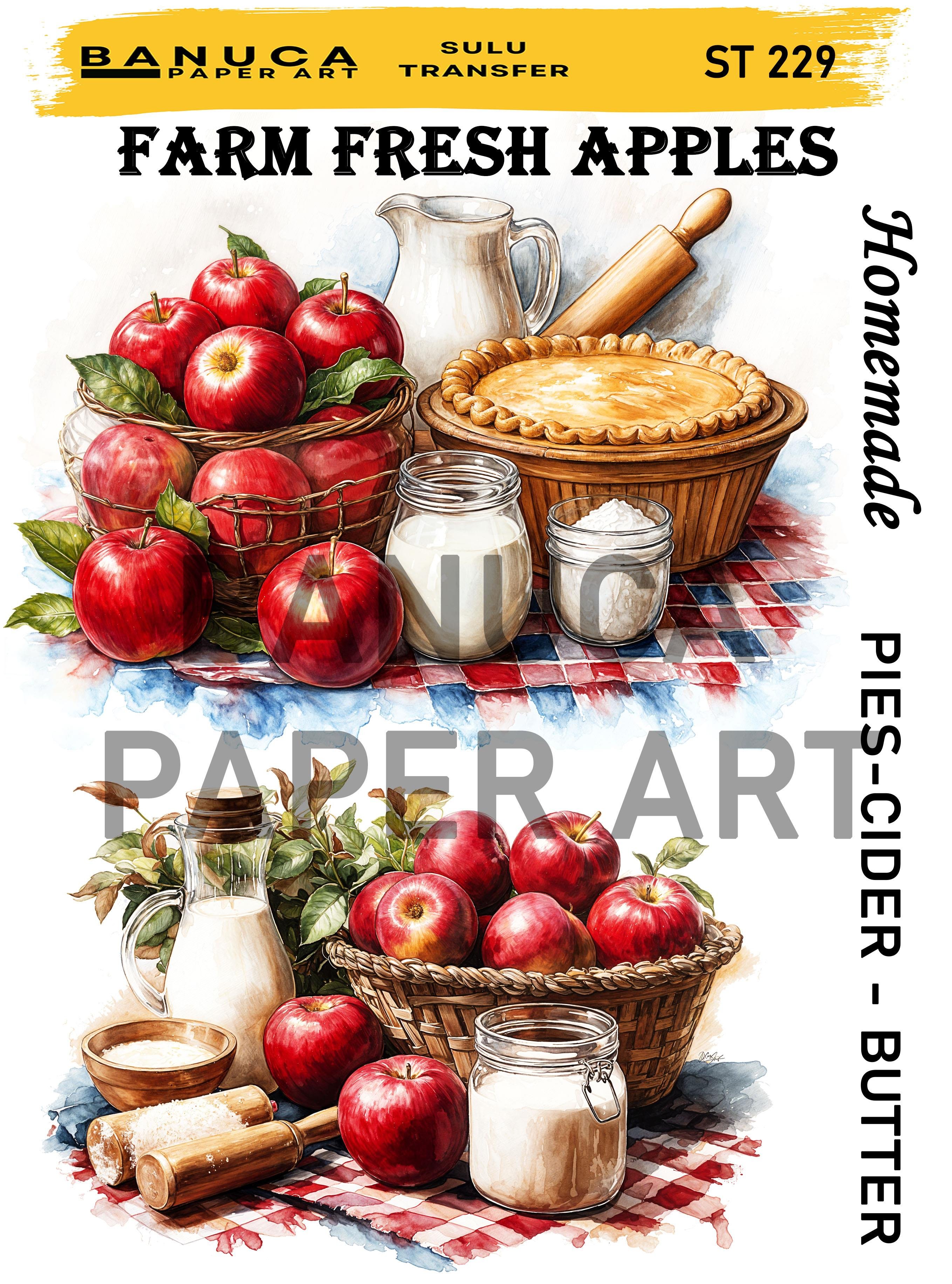 BANUCA PAPER ART SULU TRANSFER