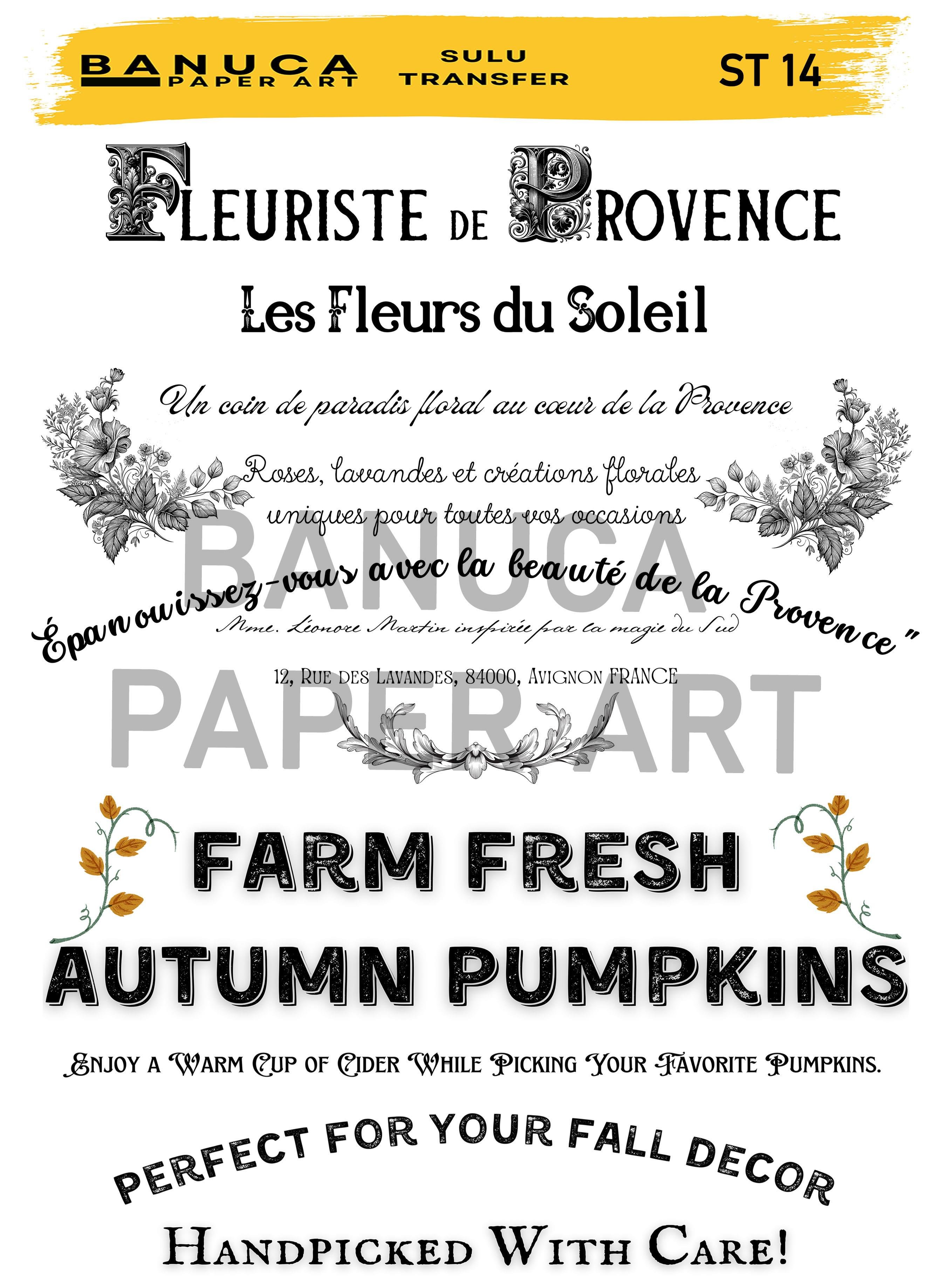 BANUCA PAPER ART SULU TRANSFER