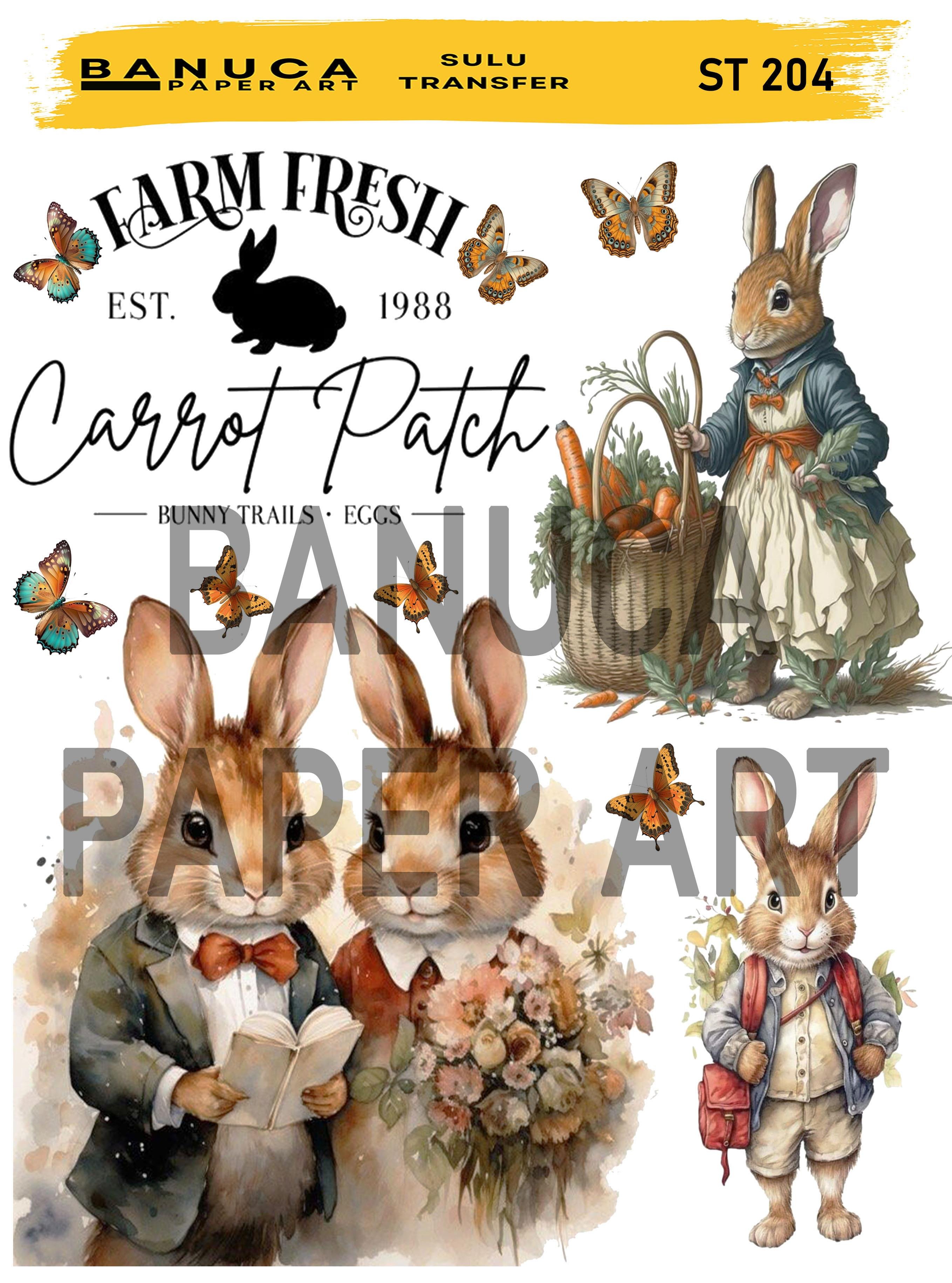 BANUCA PAPER ART SULU TRANSFER