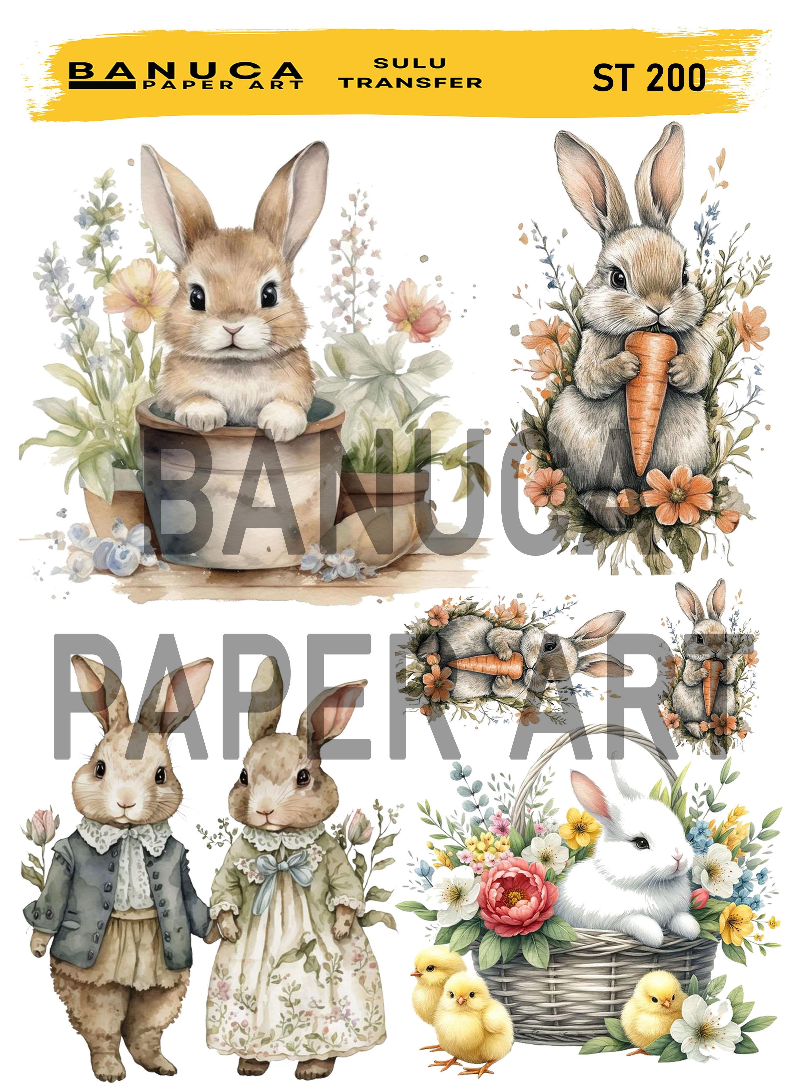 BANUCA PAPER ART SULU TRANSFER