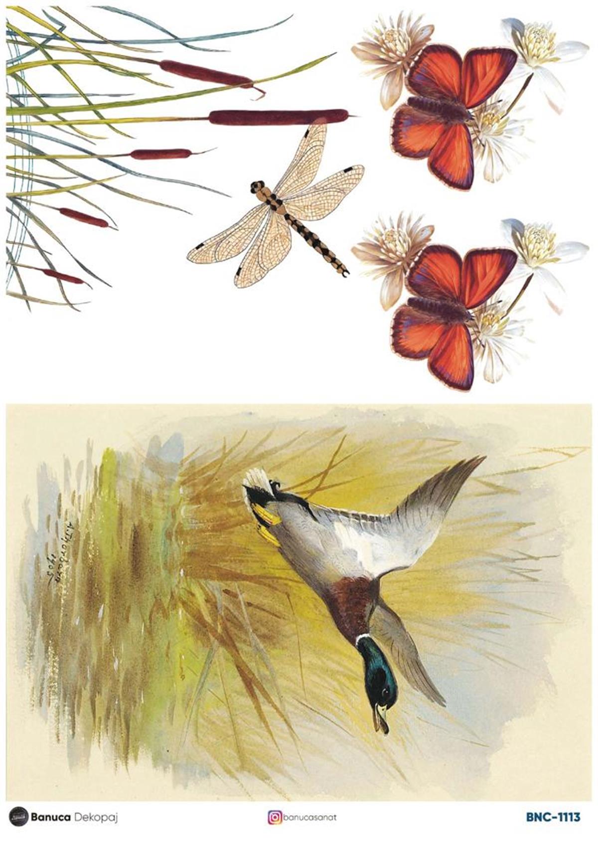 BNC PİRİNÇ DEKOPAJ 30X41 CM 