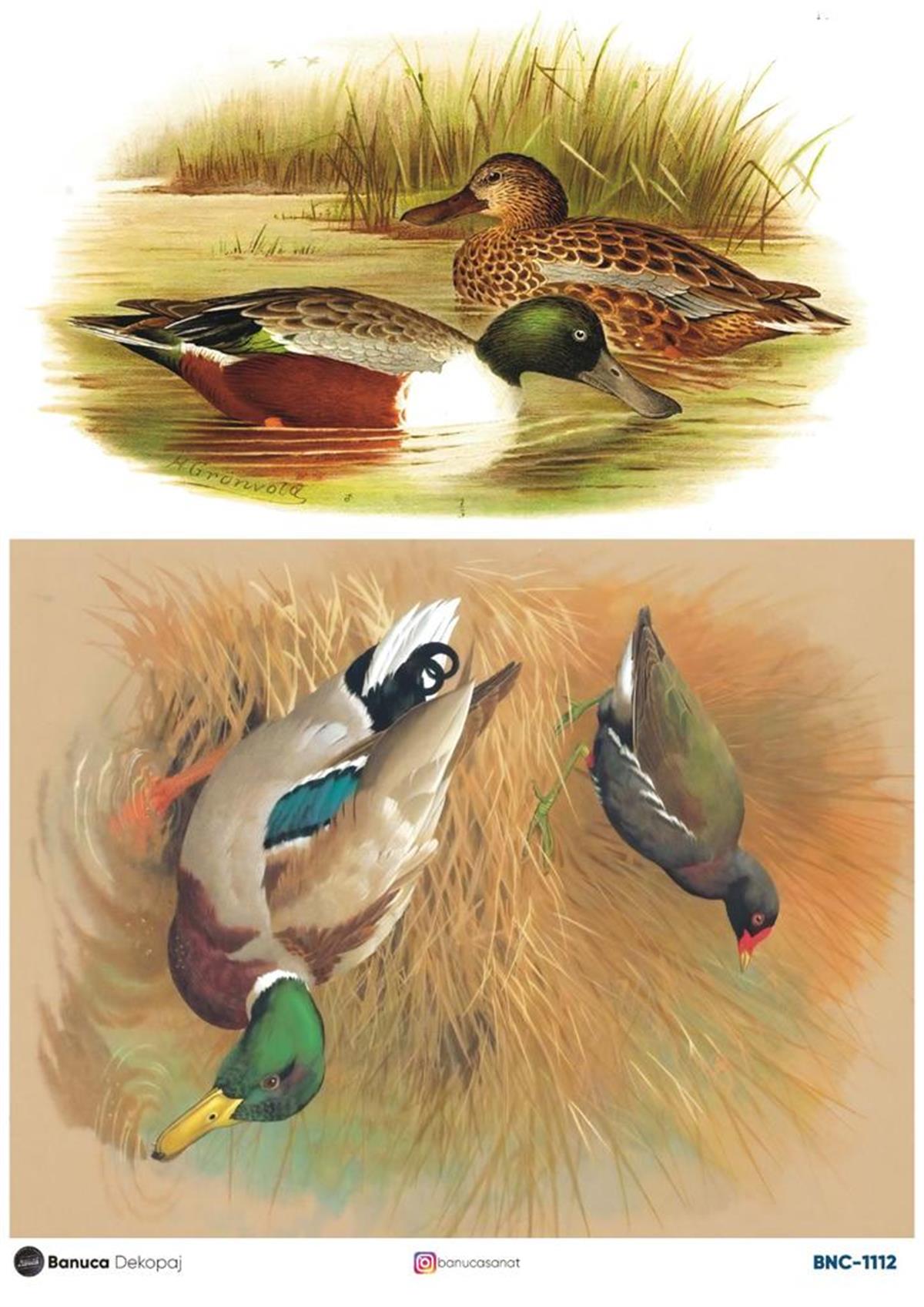 BNC PİRİNÇ DEKOPAJ 30X41 CM