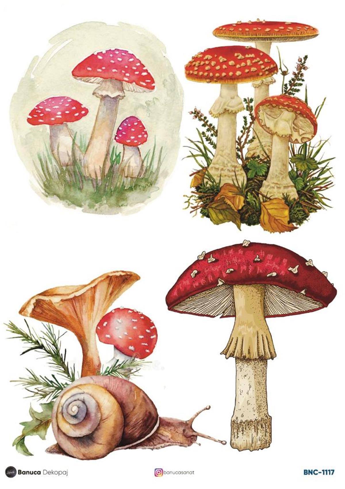 BNC PİRİNÇ DEKOPAJ 30X41CM