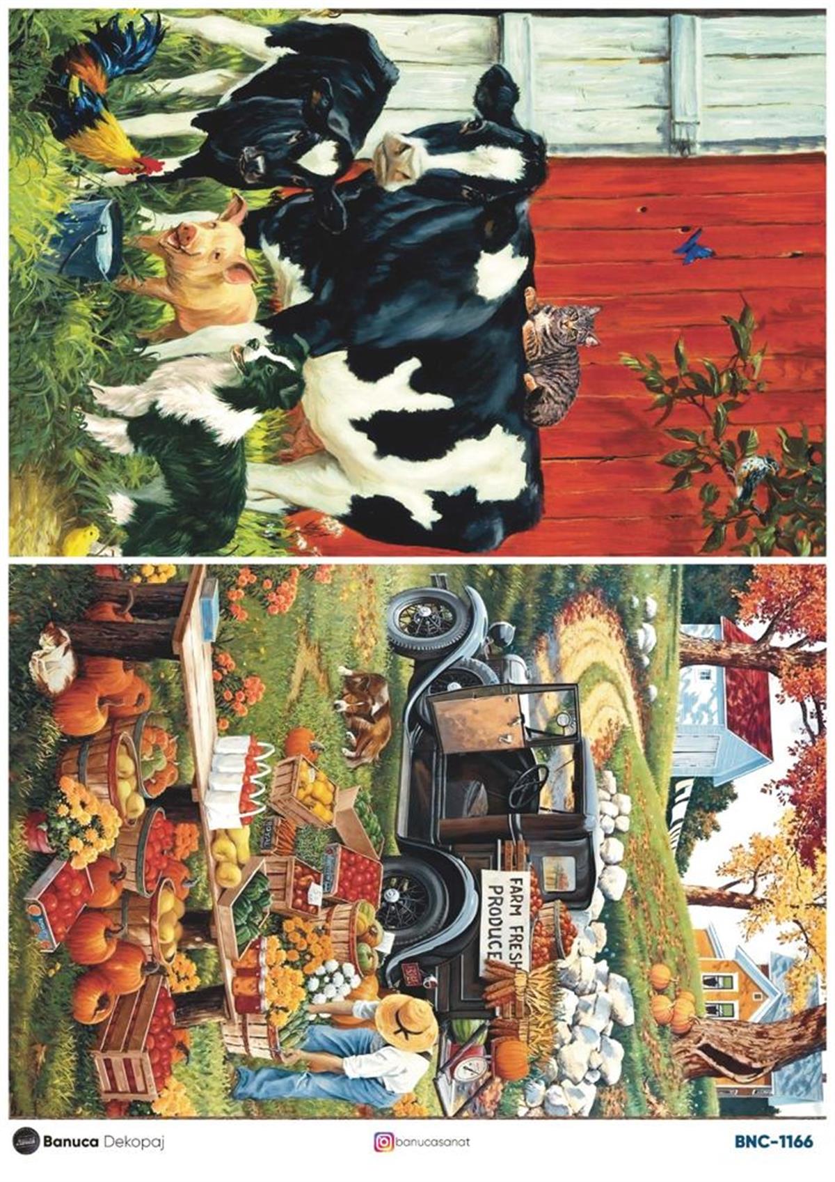 BNC PİRİNÇ DEKOPAJ KAĞIDI  30X41 CM