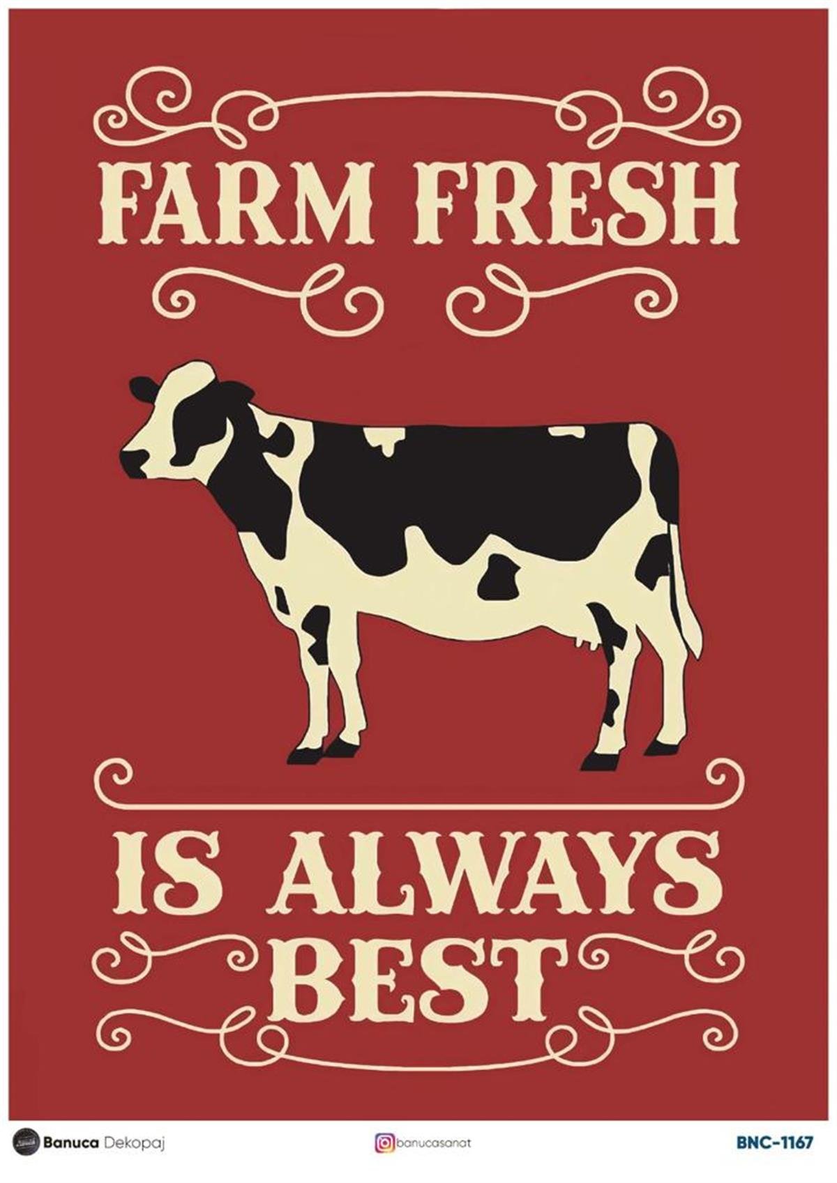 BNC PİRİNÇ DEKOPAJ KAĞIDI  30X41 CM