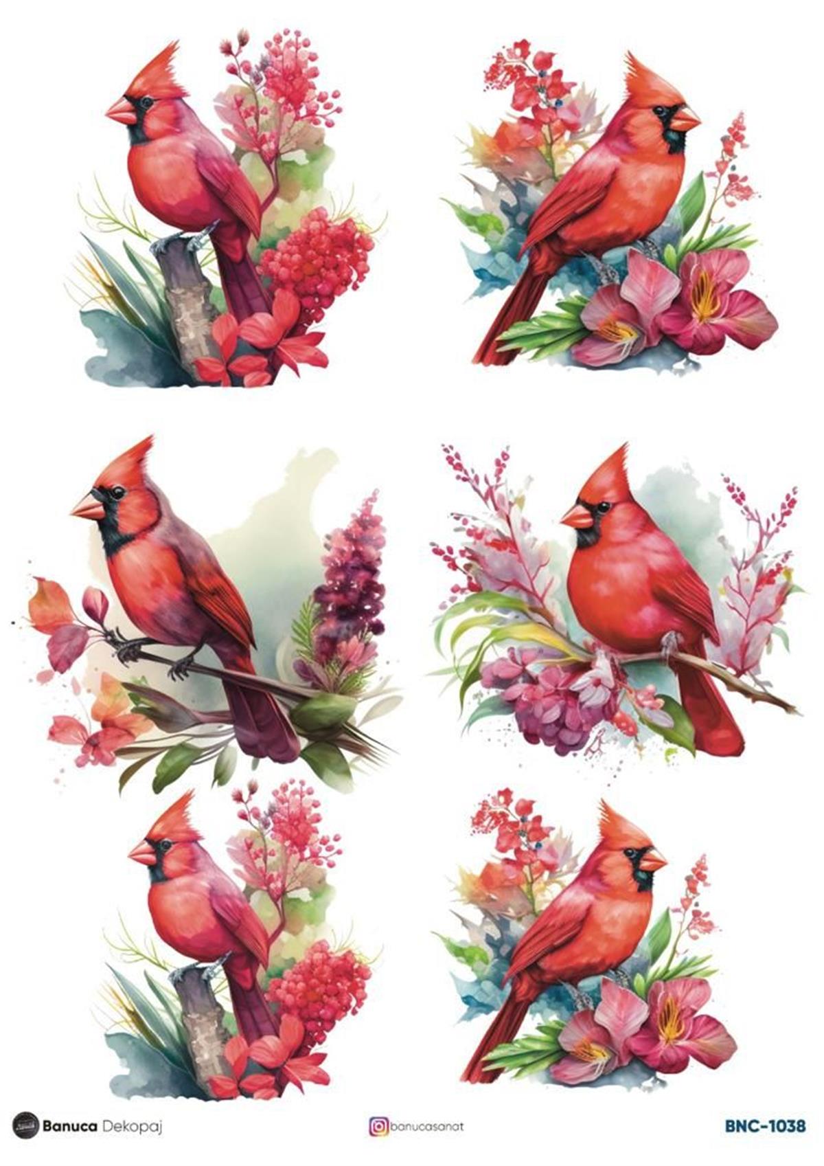 BNC PİRİNÇ DEKOPAJ KAĞIDI 30X41 CM