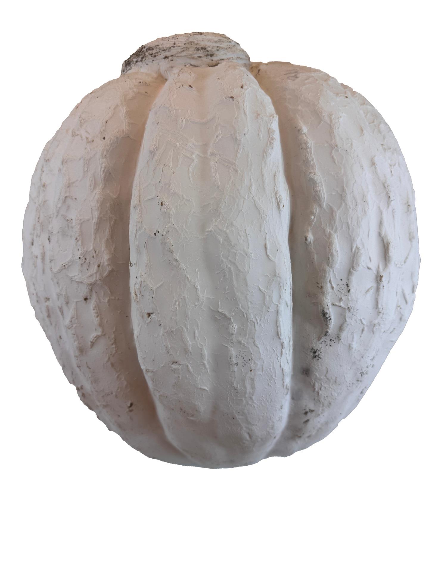 BÜYÜK KABAK UZUN 47X45 CM