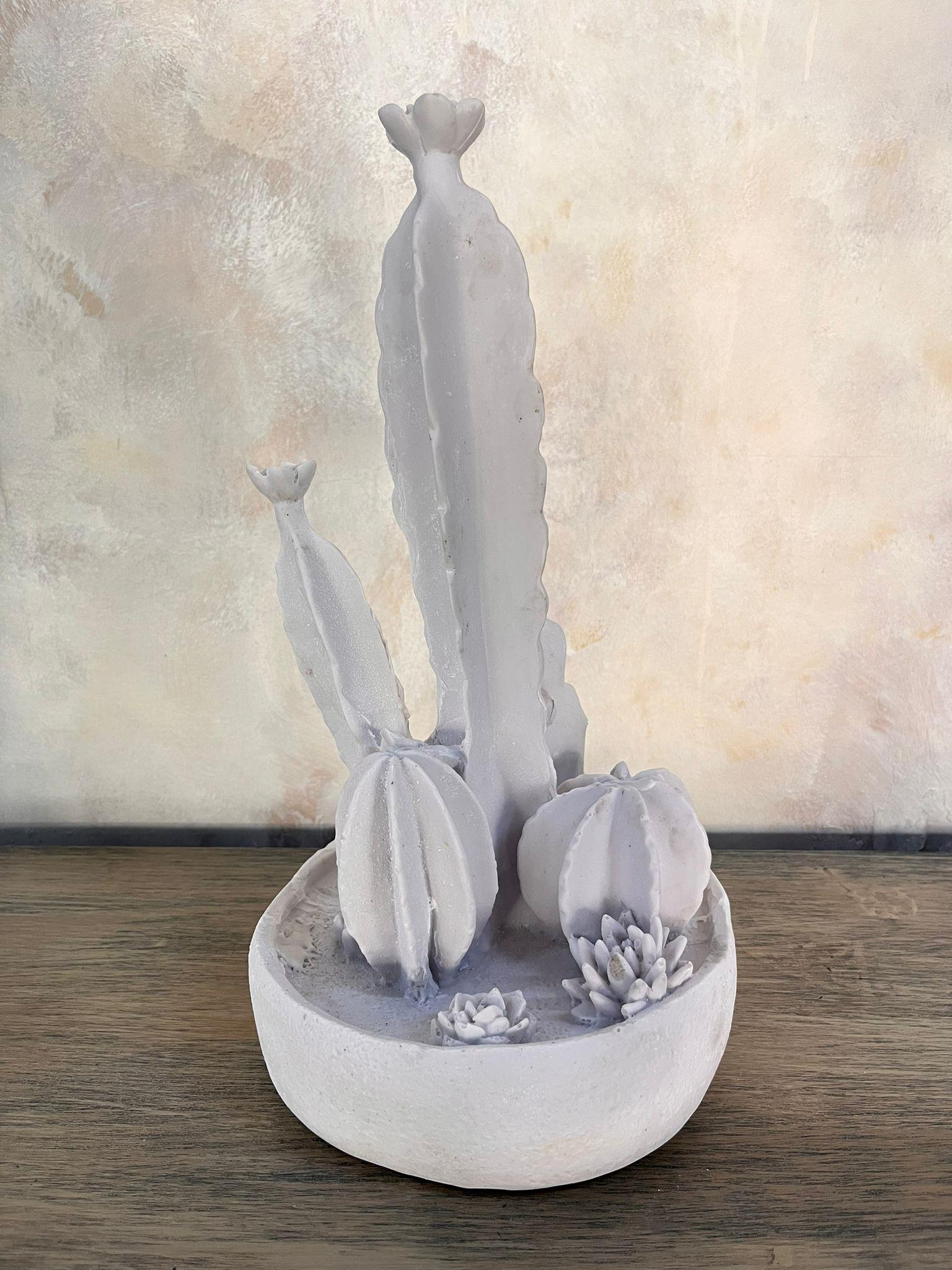 ÇOKLU KAKTÜS 36X19 CM