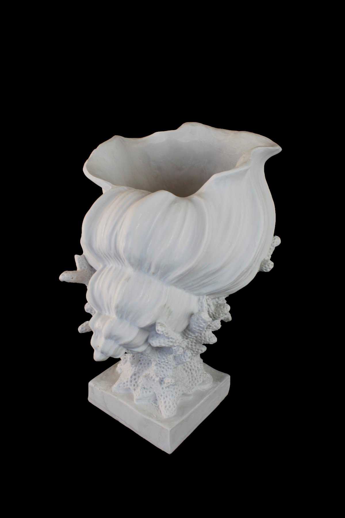 DENİZ KABUĞU MERCAN