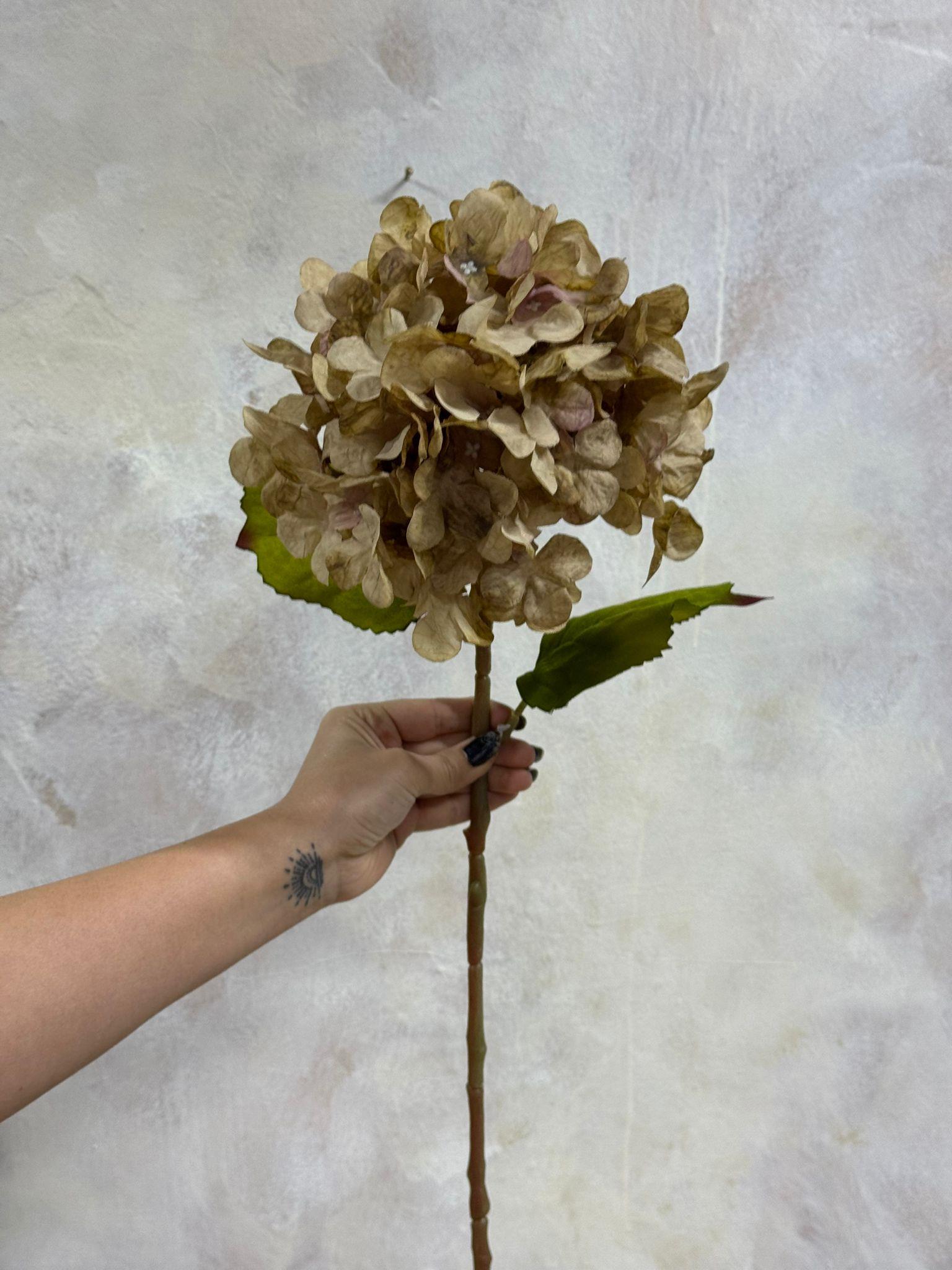 ESKİTMELİ ORTANCA 62 CM