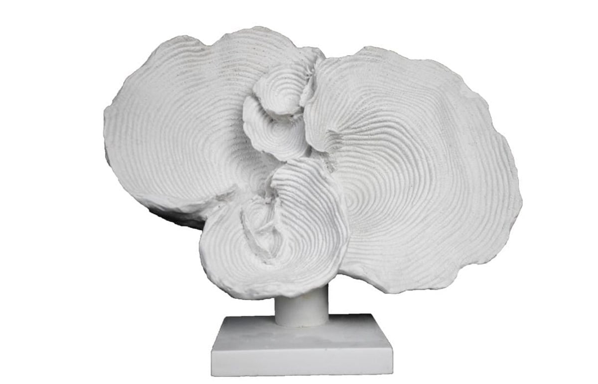 KAİDELİ MERCAN 27X32 CM